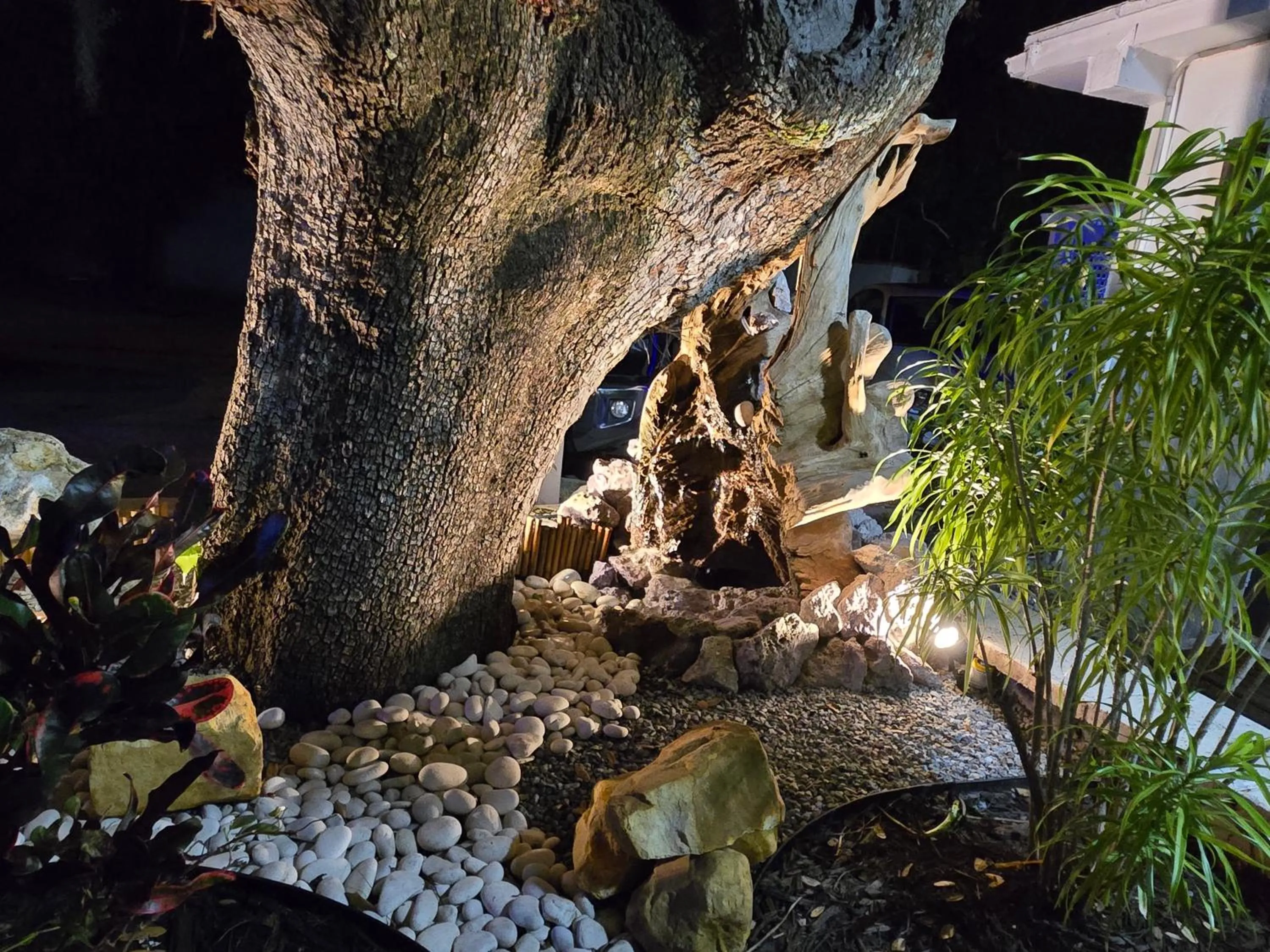 Garden view in Barefoot mailman motel