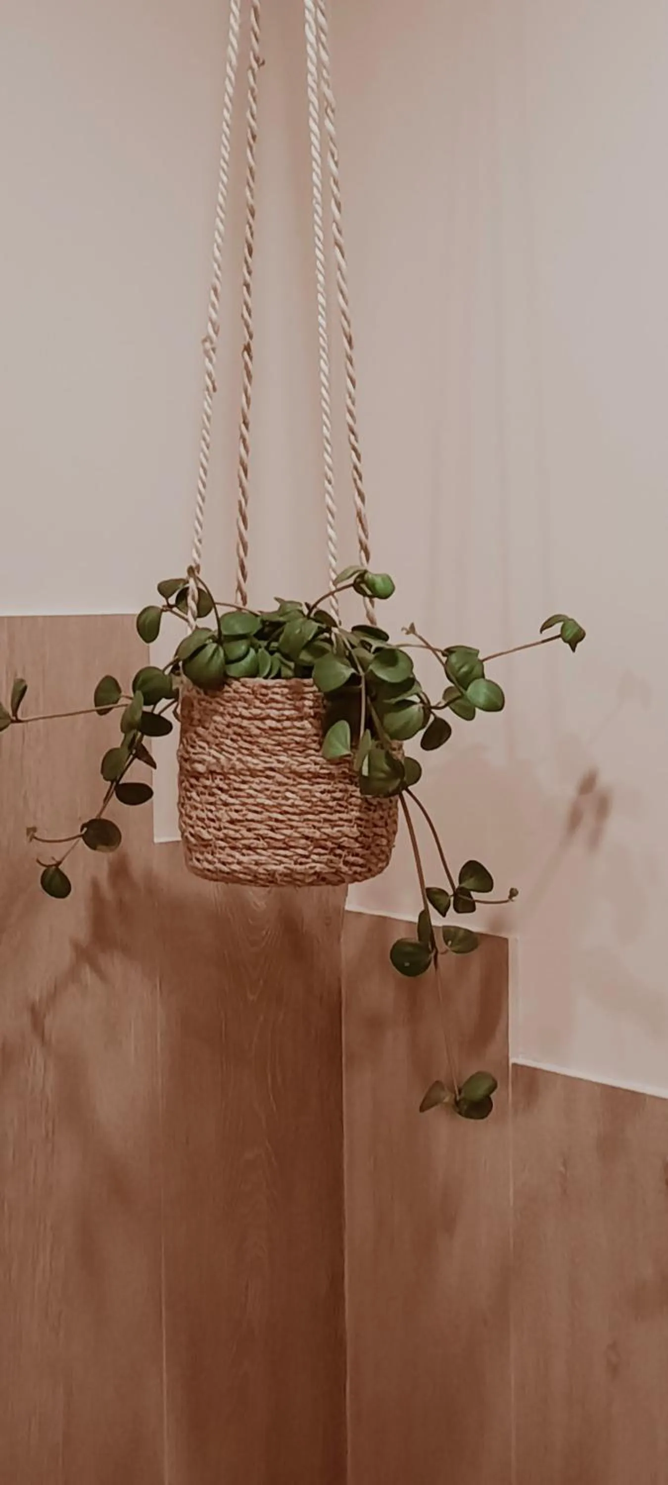 Decorative detail in L'envie