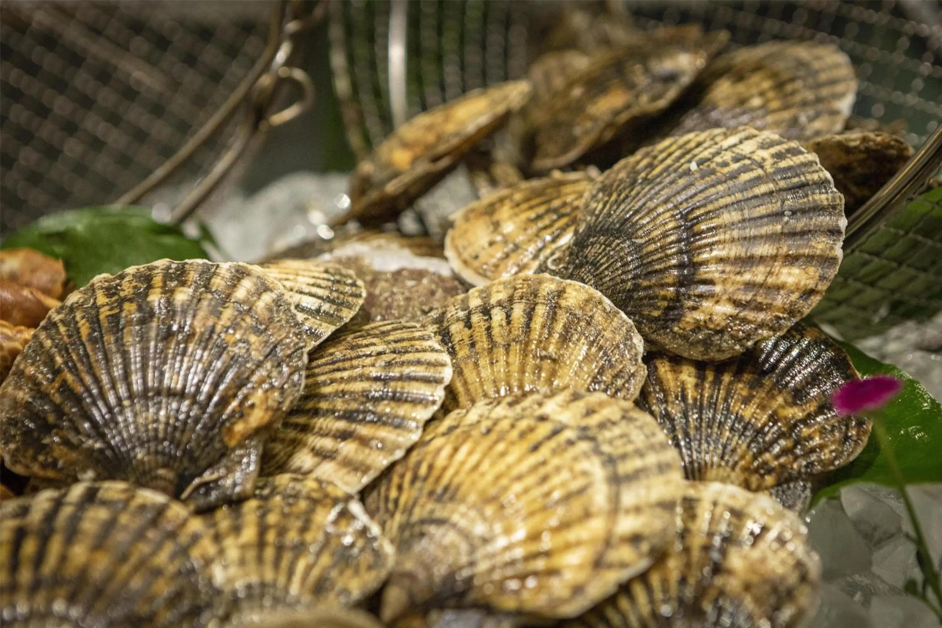 Other in Kempinski Hotel Dalian