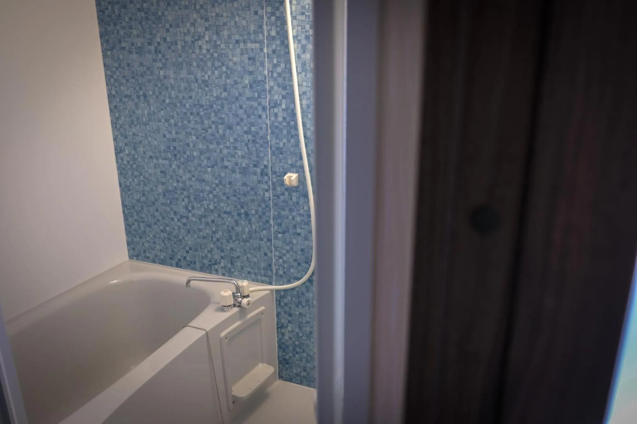 Bathroom in Blue Entrance