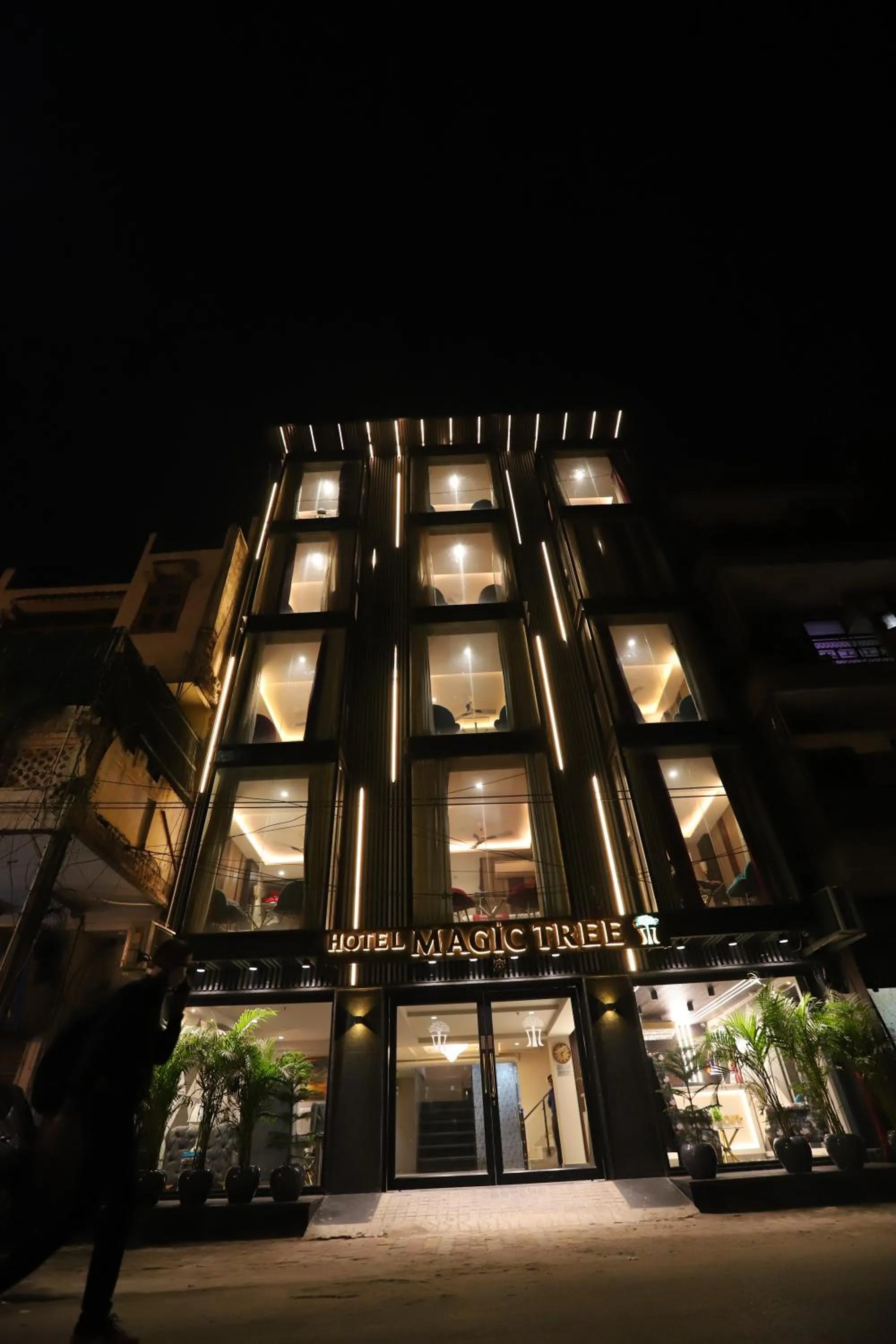 Facade/entrance in Hotel The Magic Tree - Paharganj New Delhi