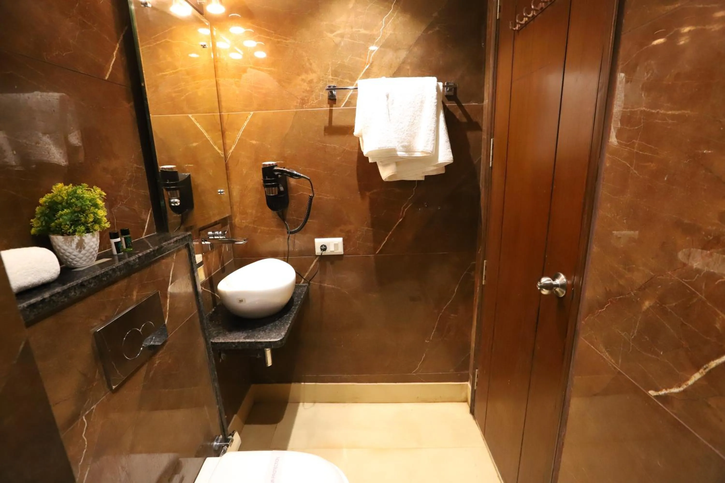 Toilet in Hotel The Magic Tree - Paharganj New Delhi