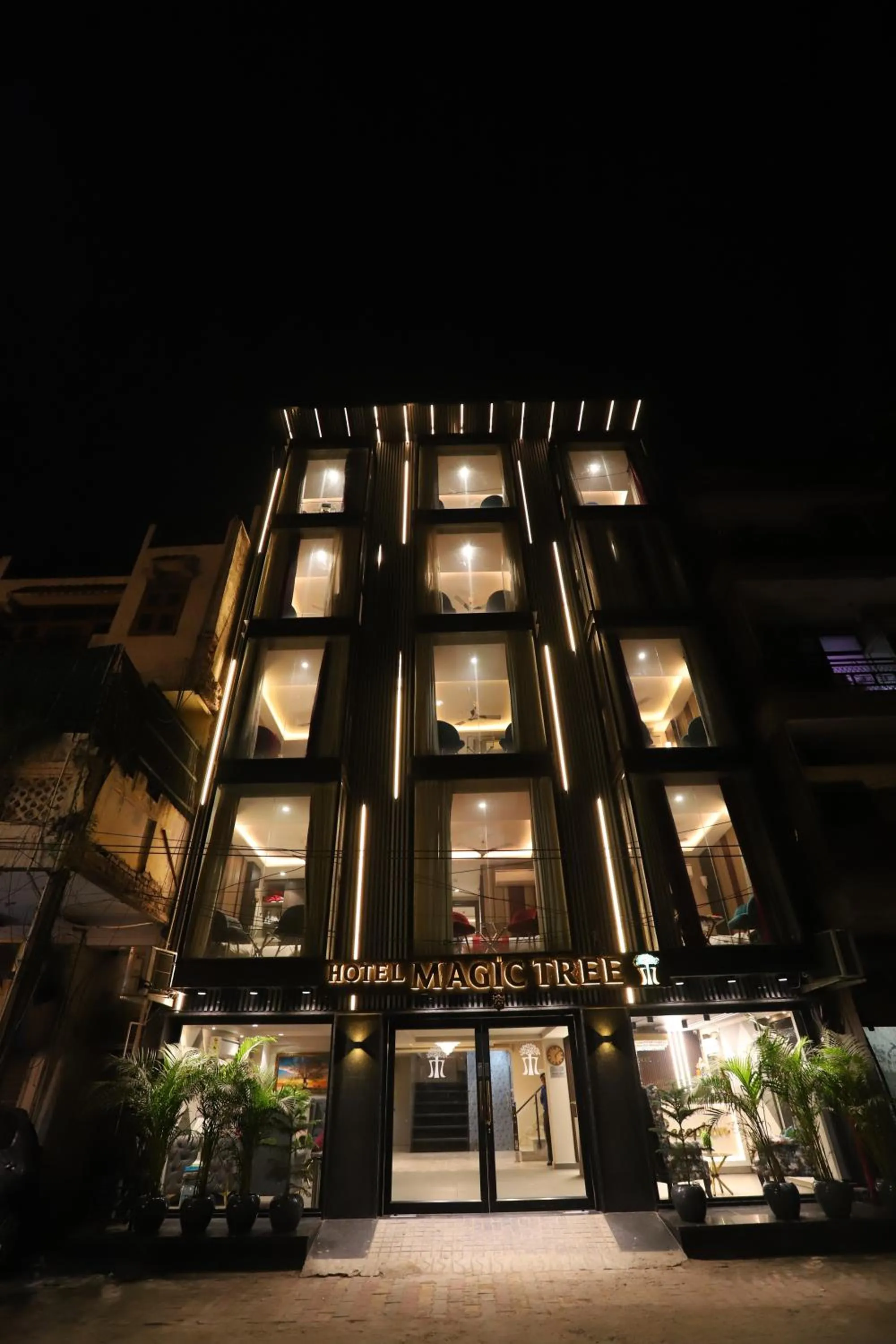 Facade/entrance in Hotel The Magic Tree - Paharganj New Delhi