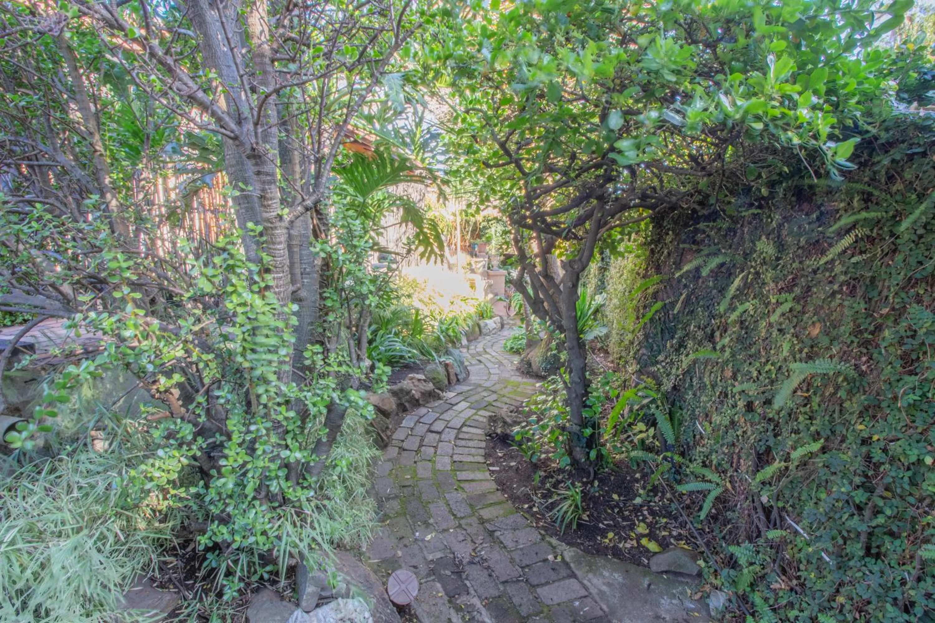 Garden in Charlie's Spot - The Gardens