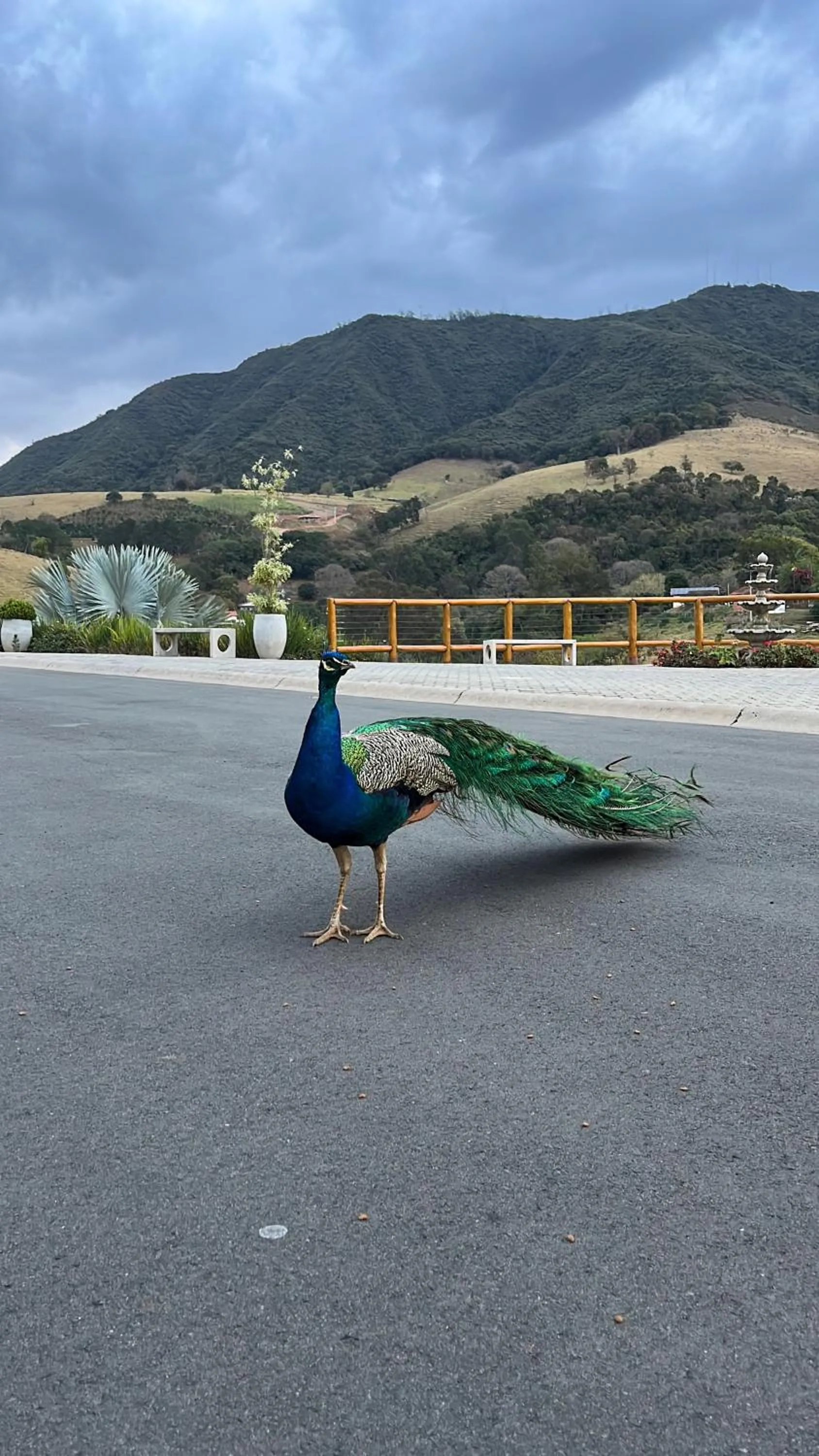 Hotel Chalés Capitanias