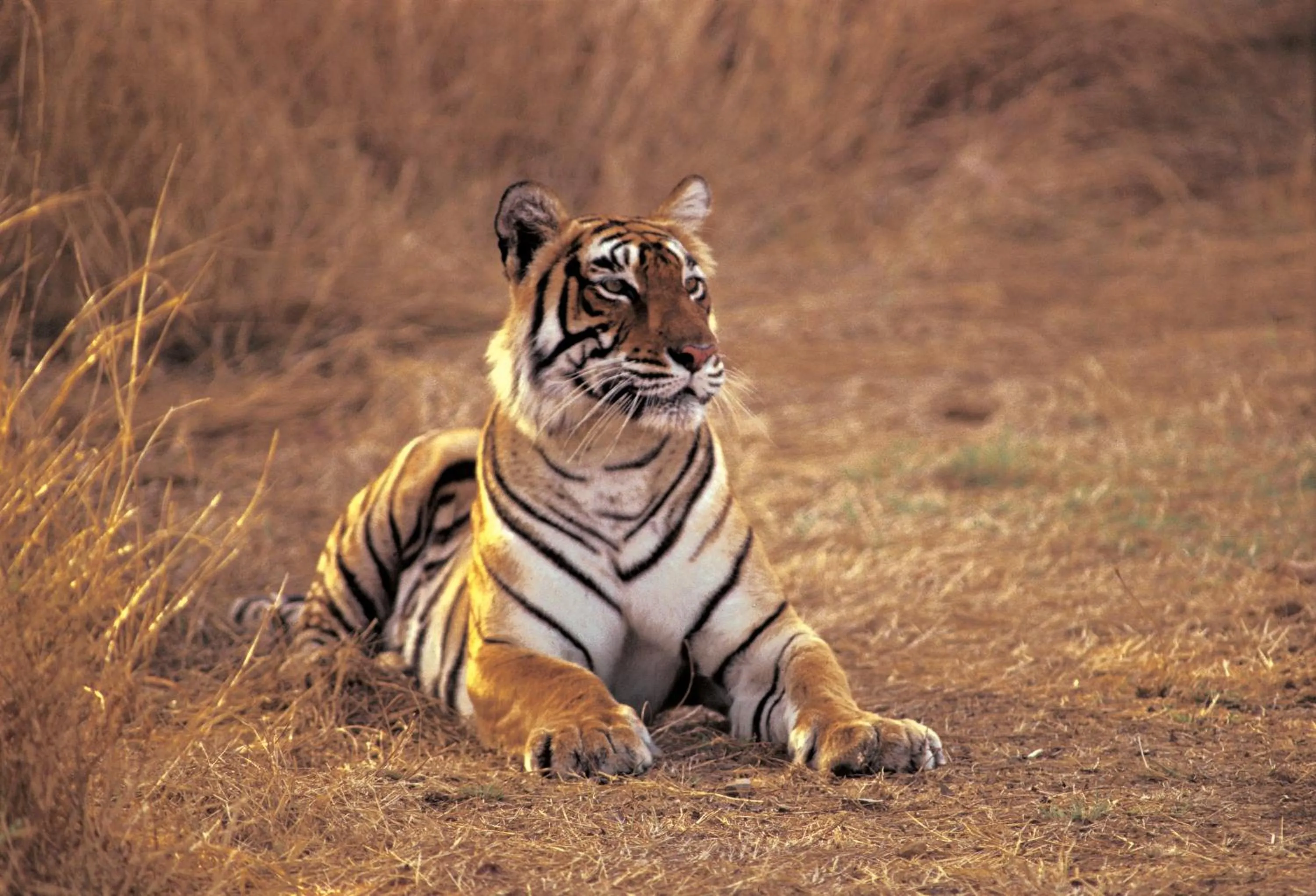 Nearby landmark in The Oberoi Vanyavilas Wildlife Resort, Ranthambhore