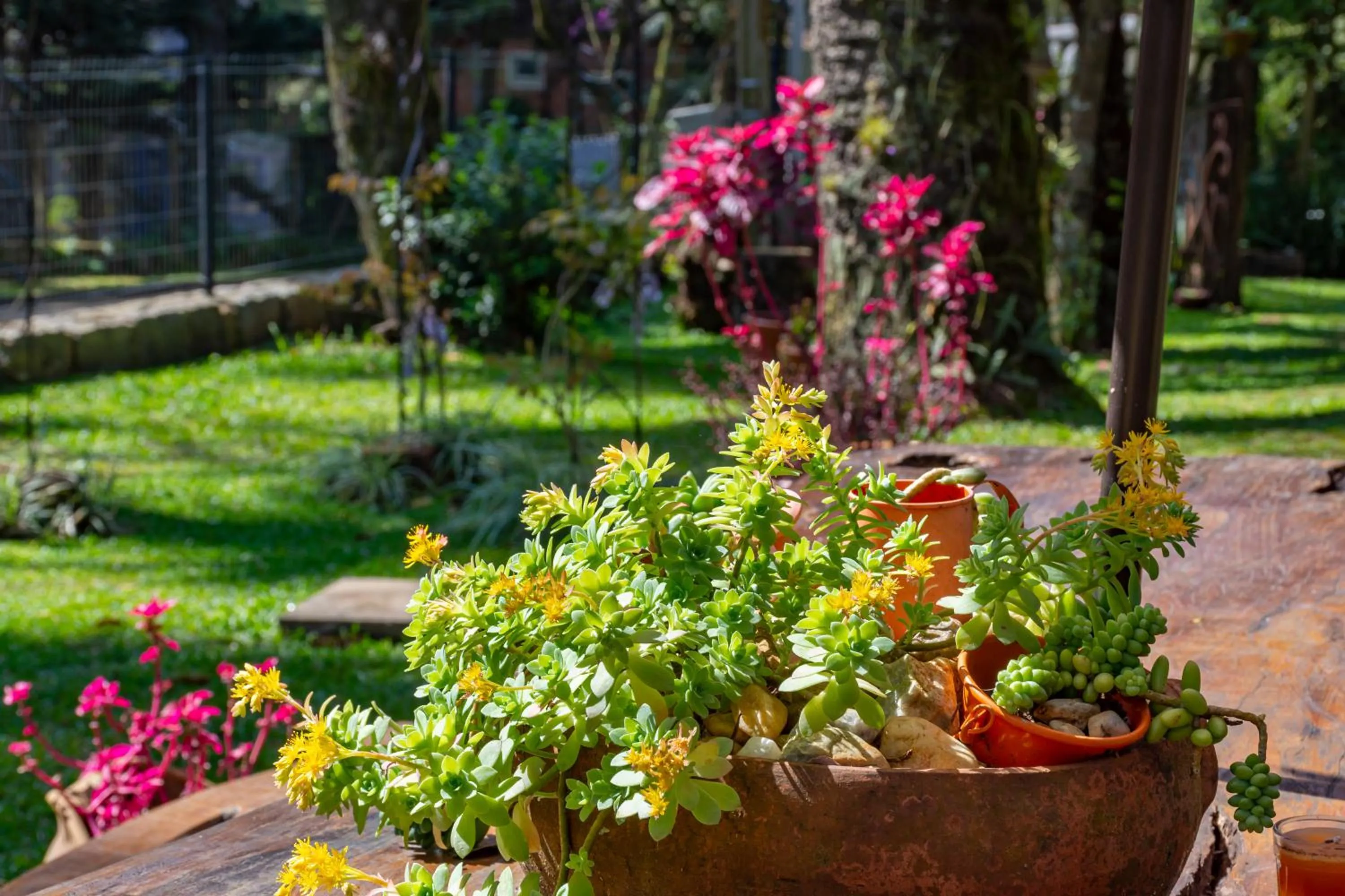 Spring in Pousada Vila 505