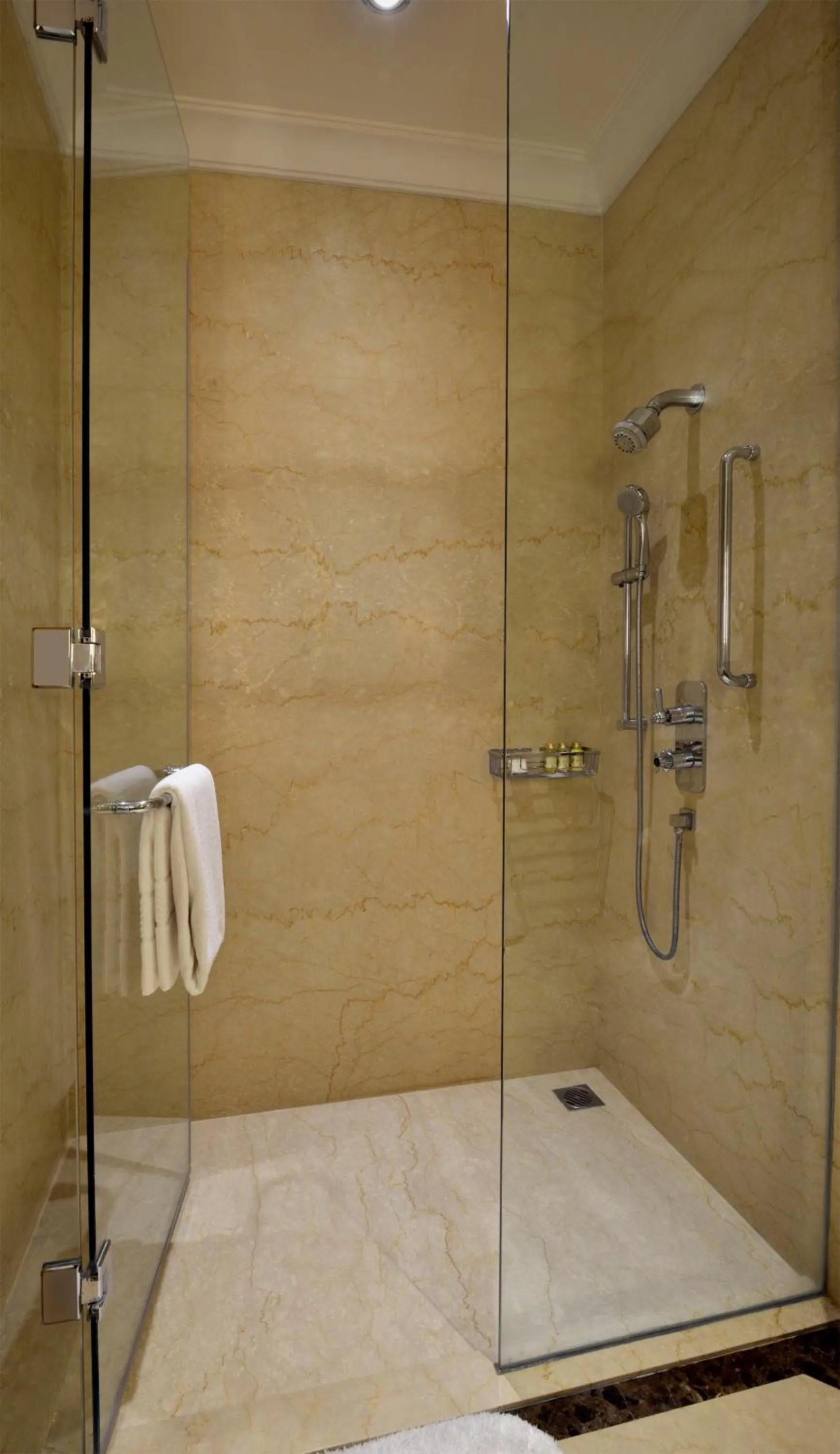 Shower in Trident Gurgaon