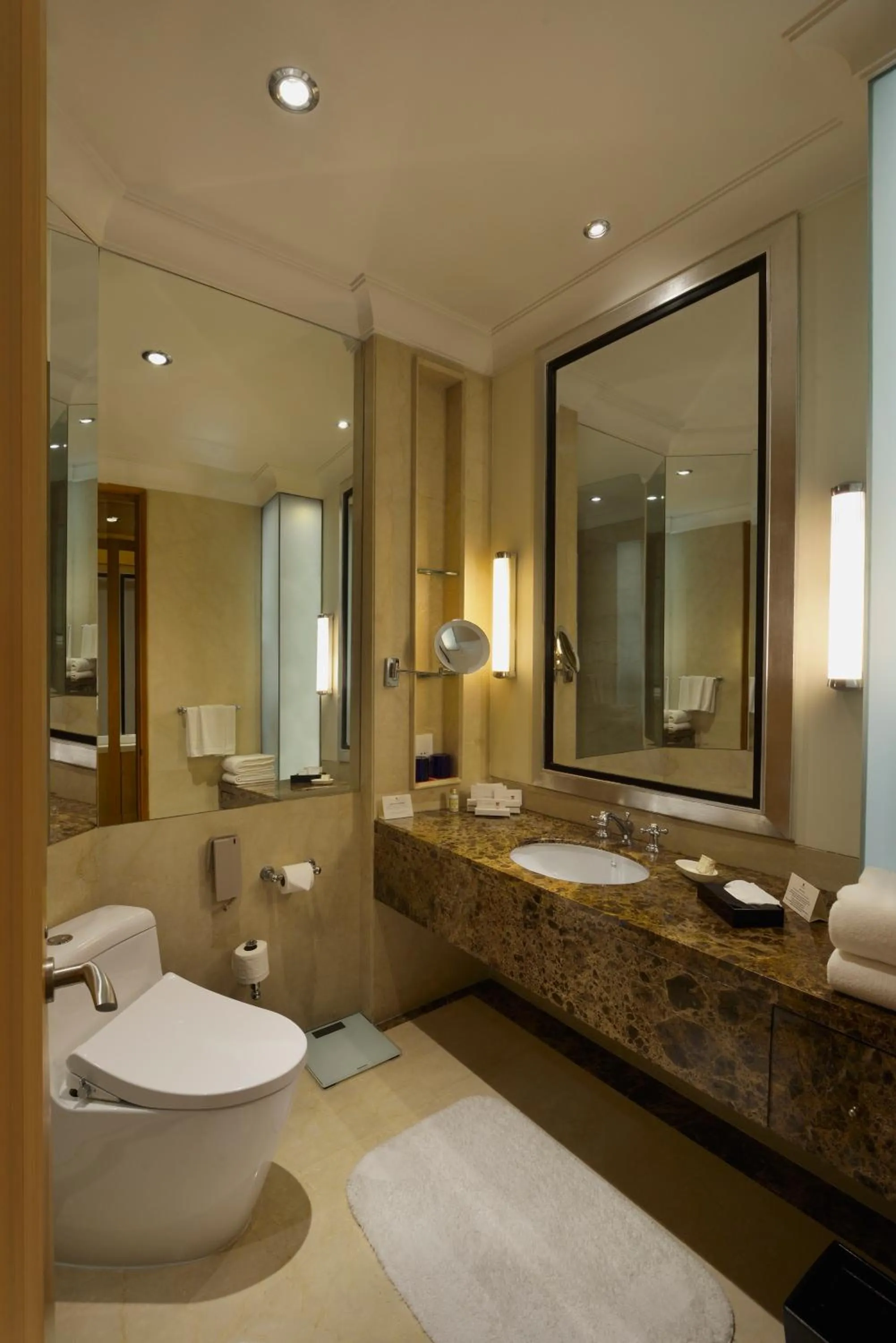 Bathroom in Trident Gurgaon