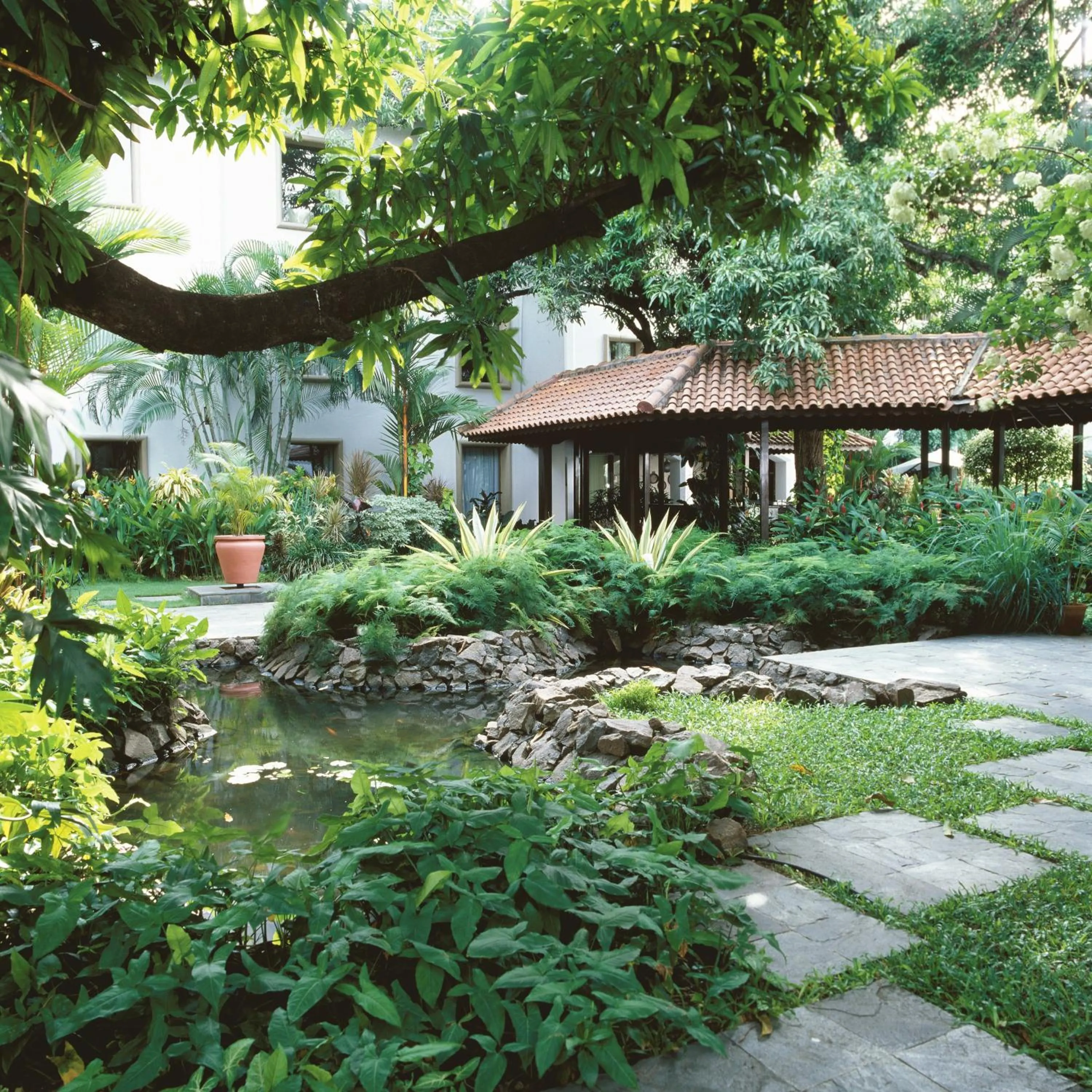 Garden in The Fern-An Ecotel Hotel, Kochi