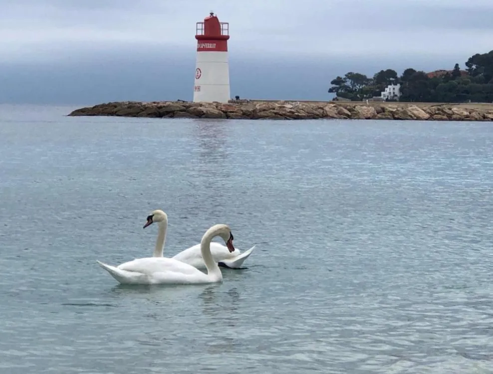 Great and light private room in the heart of Nice