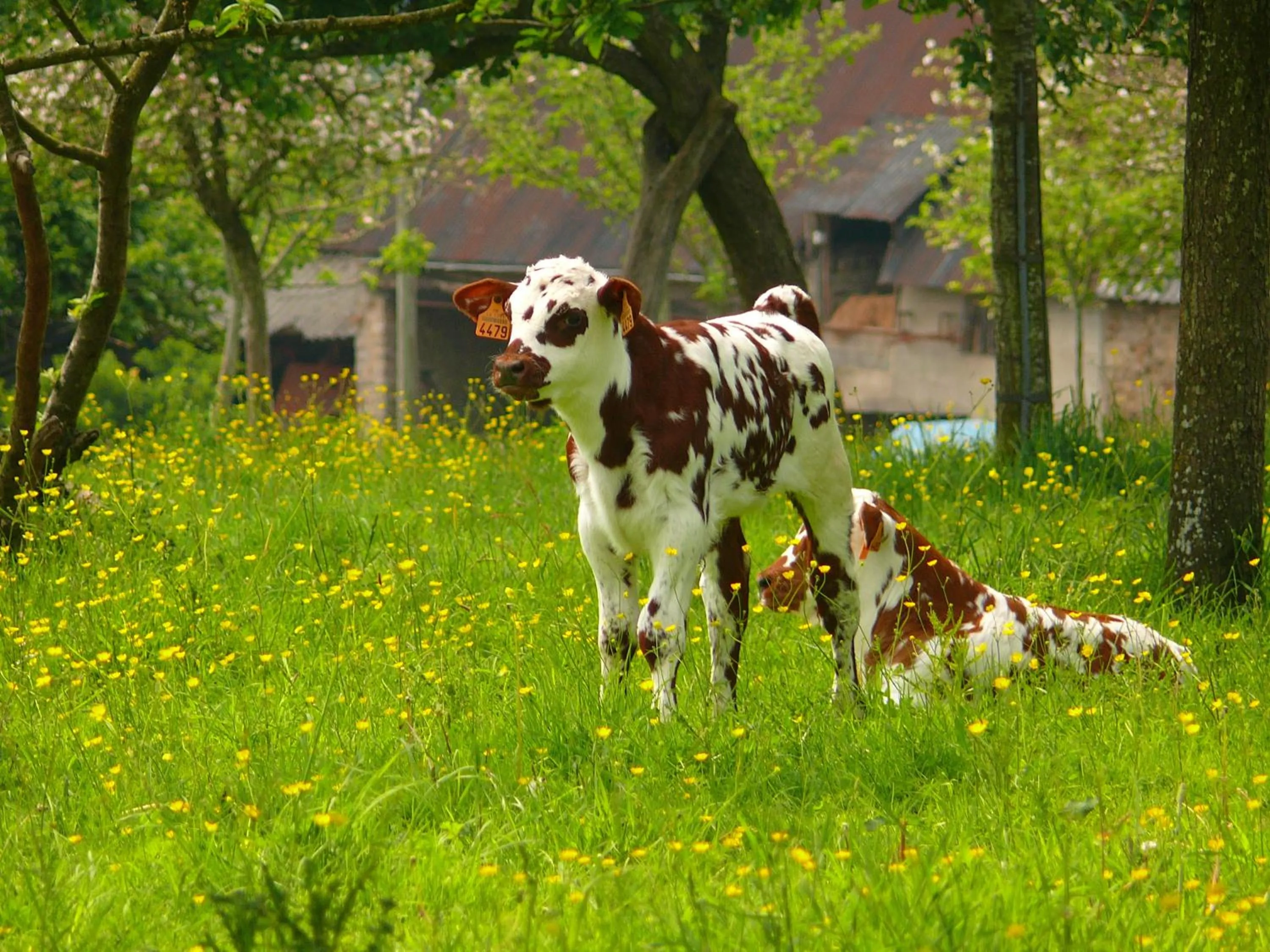 Area and facilities in Logis Hôtel Restaurant Le Dauphin et Le Spa du Prieuré