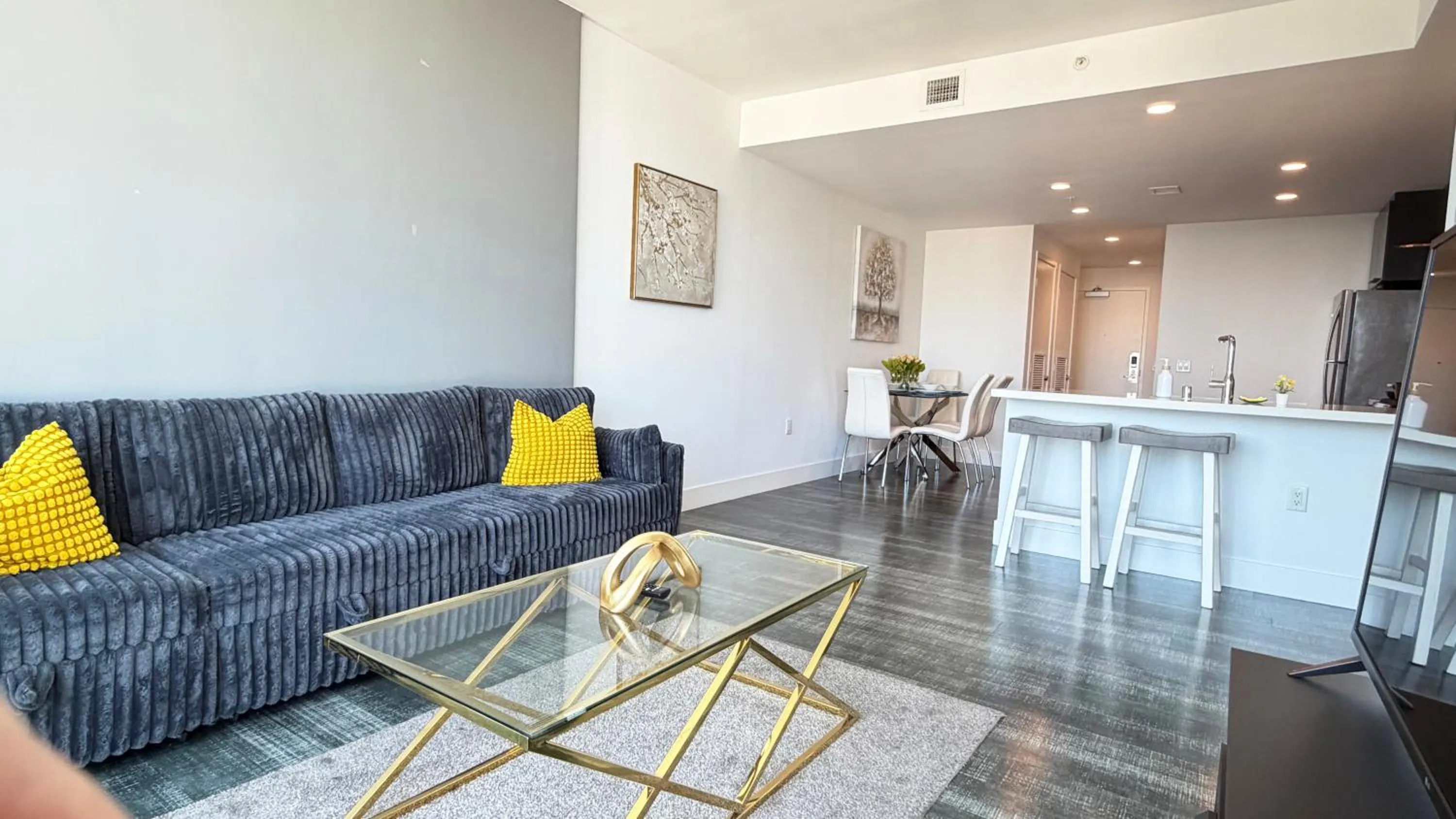 TV and multimedia in Sky-Rise Apartments