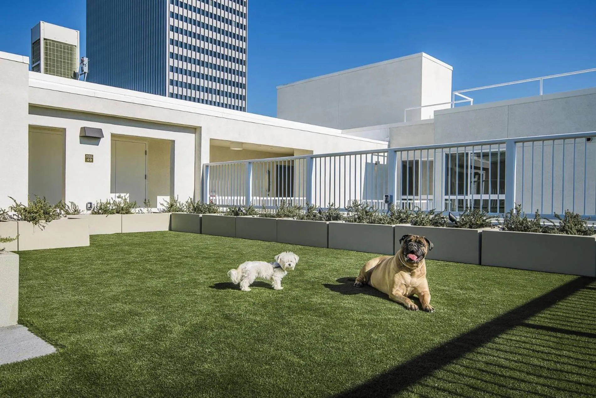 Property building in Sky-Rise Apartments