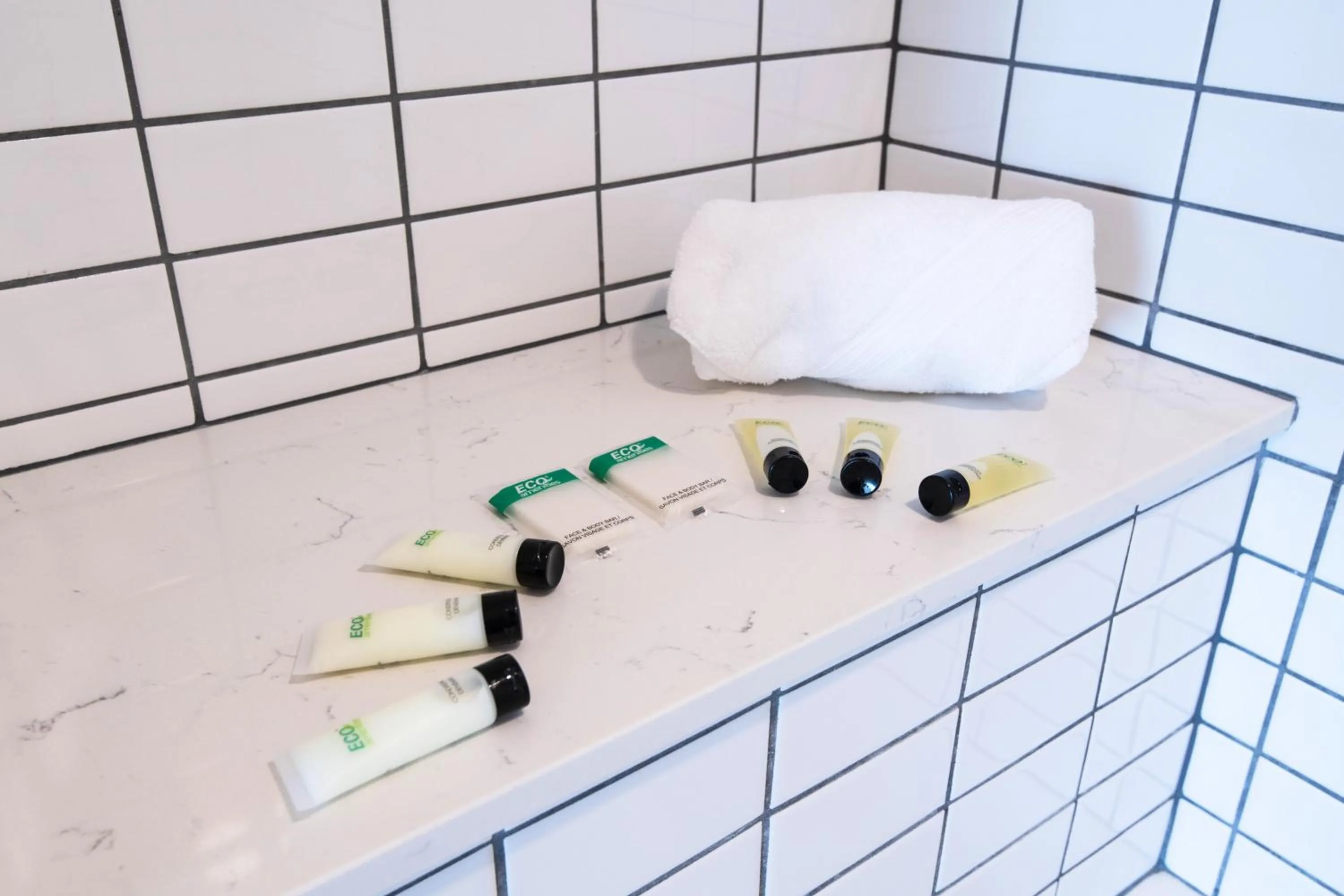 Bathroom in Sky-Rise Apartments