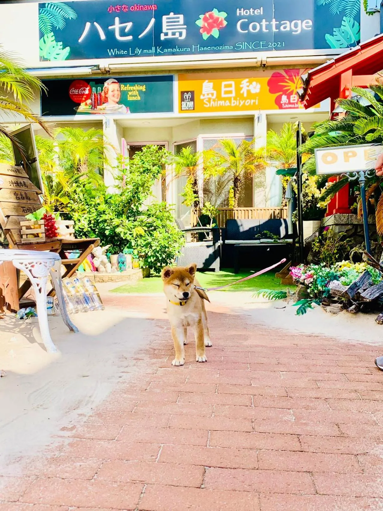 ハセノ島　Hotel　Cottage