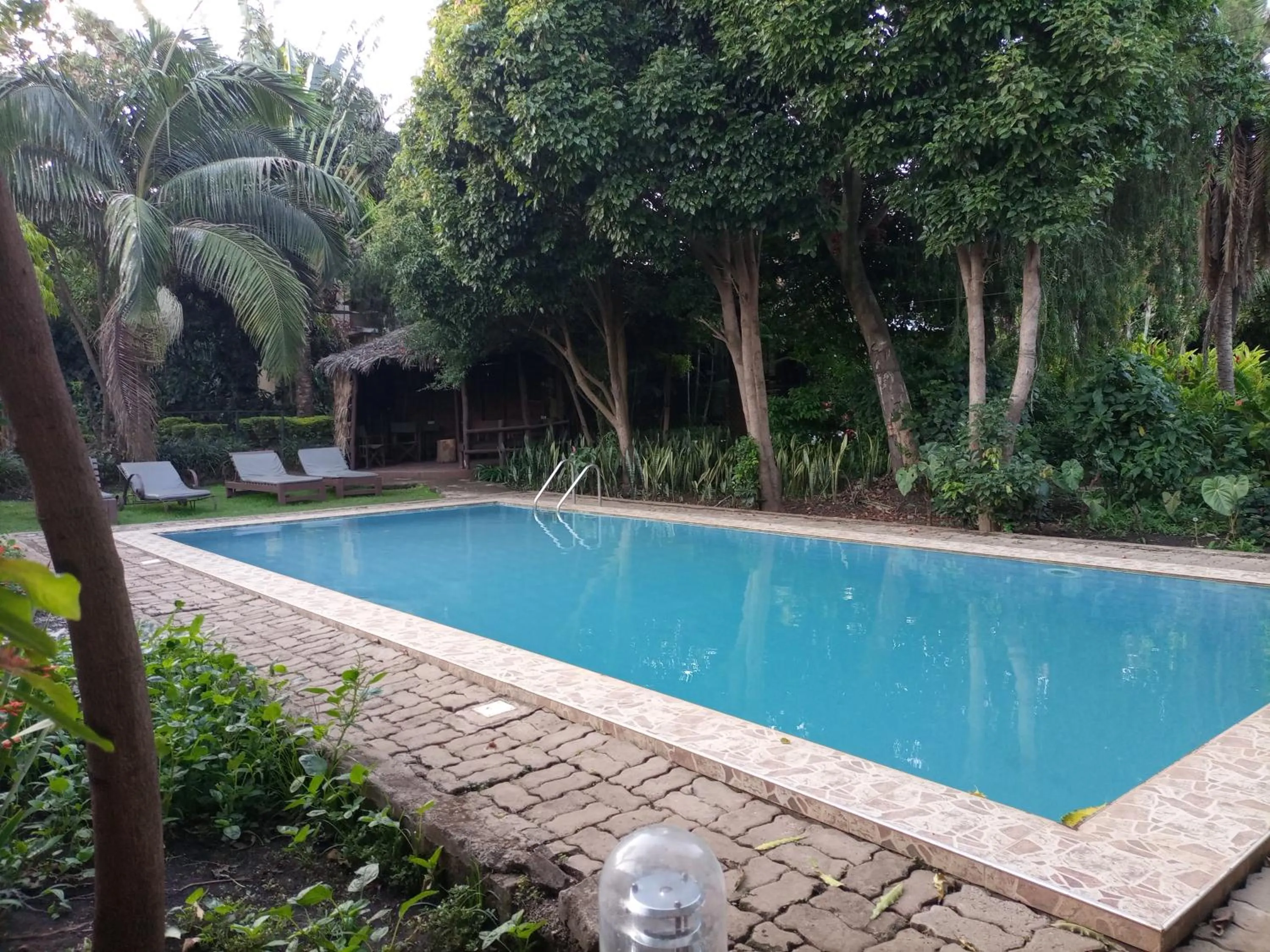 Swimming pool in Karibu Heritage House
