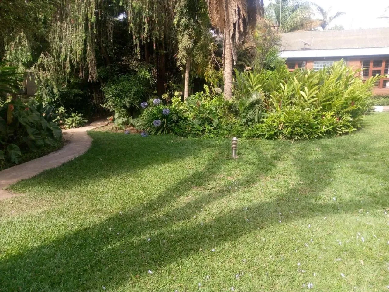 Garden in Karibu Heritage House