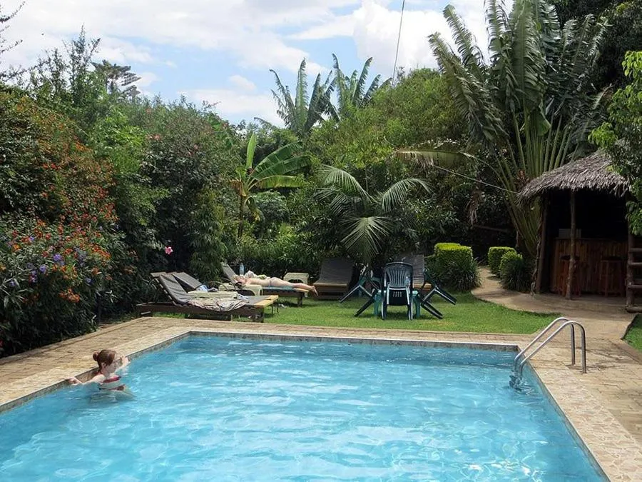 Swimming pool in Karibu Heritage House
