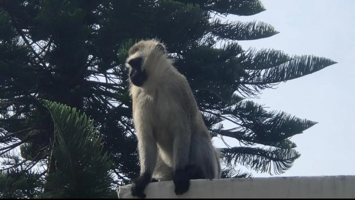 Karibu Heritage House