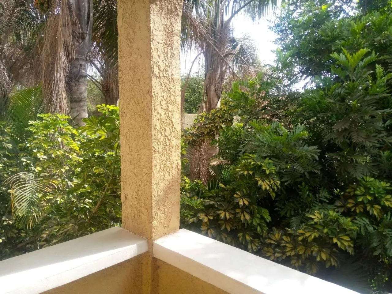 Balcony/Terrace in Karibu Heritage House