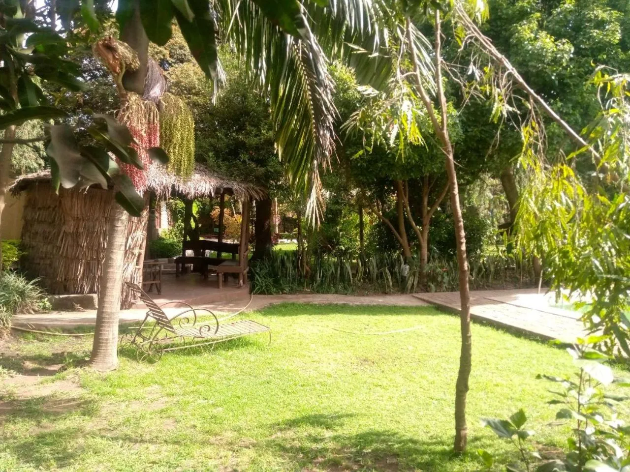 Garden in Karibu Heritage House