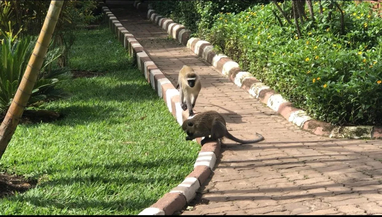 Karibu Heritage House