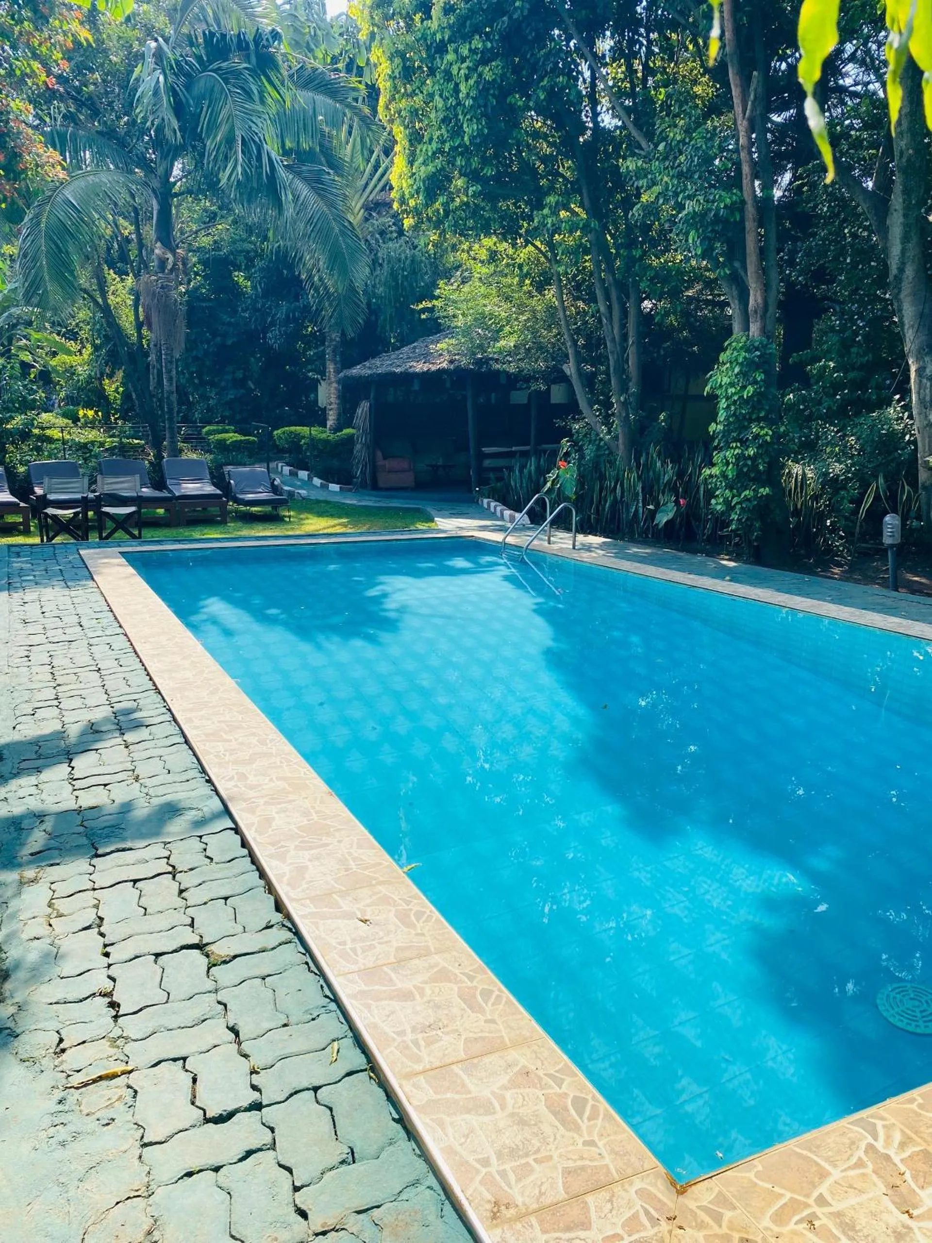 Swimming pool in Karibu Heritage House