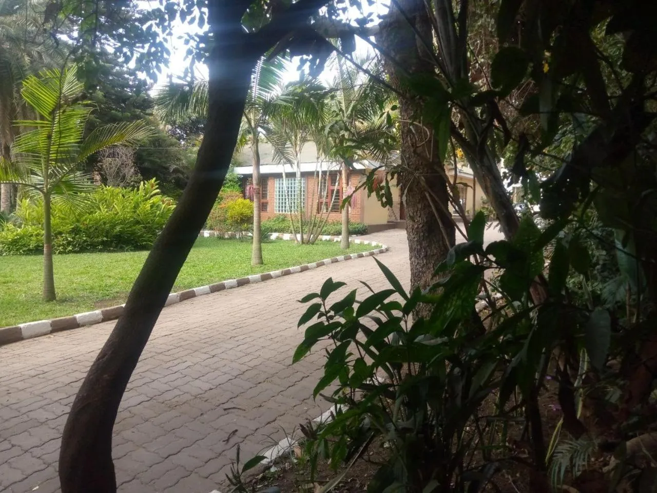 Garden in Karibu Heritage House