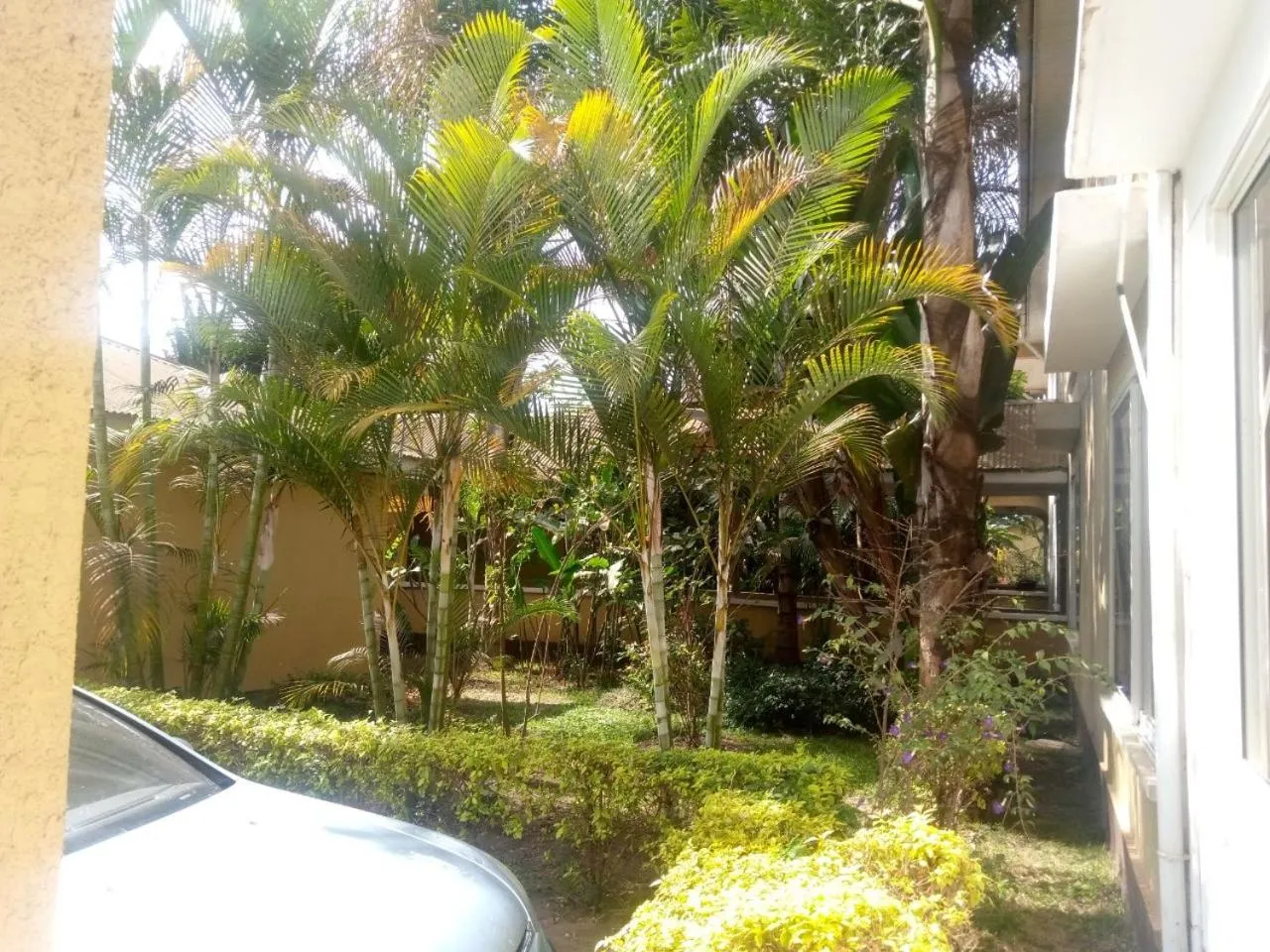 Garden in Karibu Heritage House