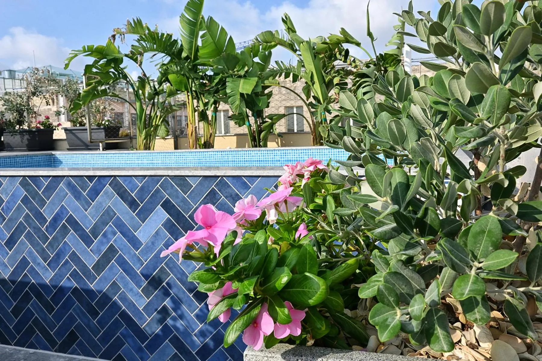 Swimming pool in The Capital Boutique Hotel