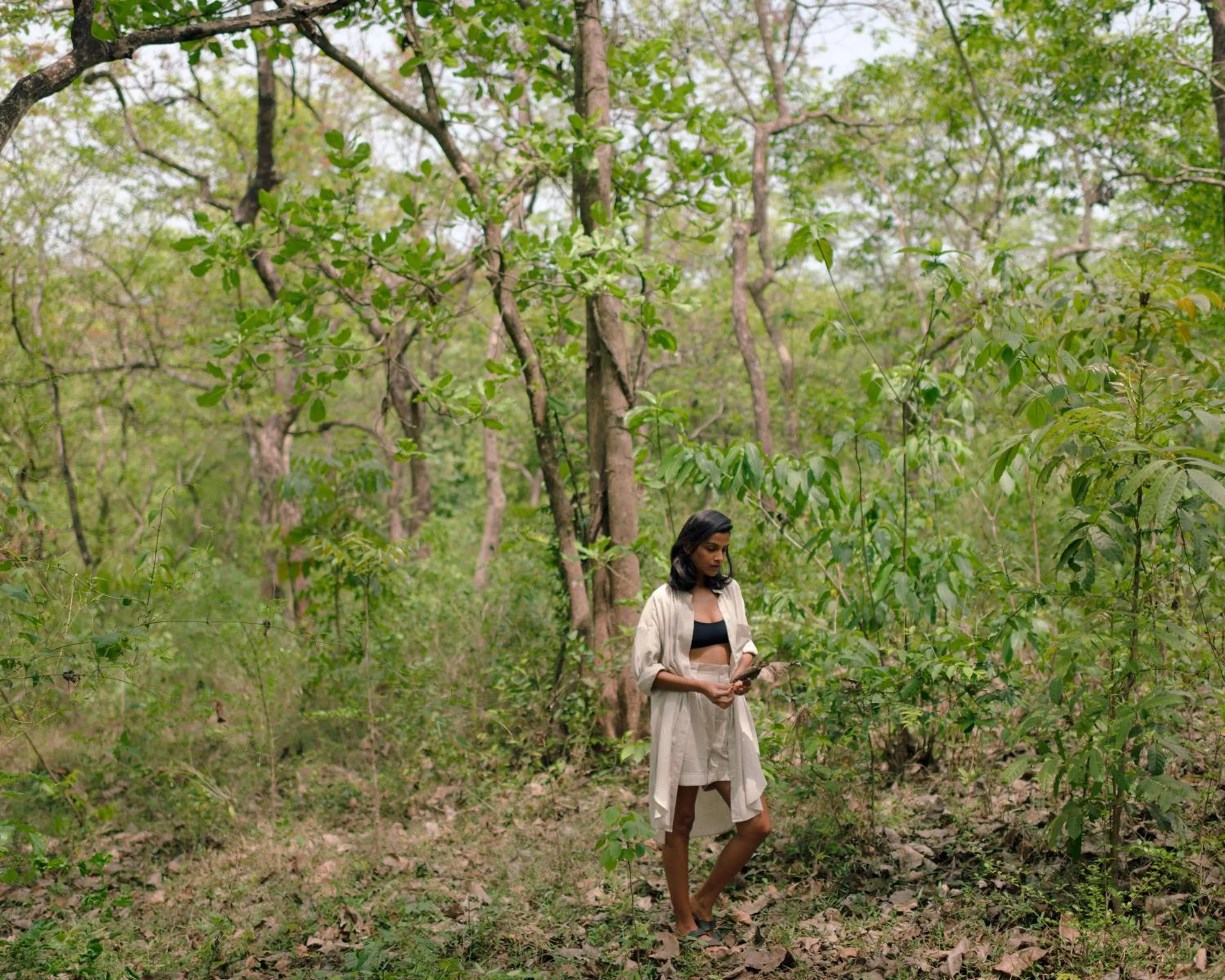 Natural landscape in The Postcard Hideaway, Netravali Wildlife Sanctuary, Goa