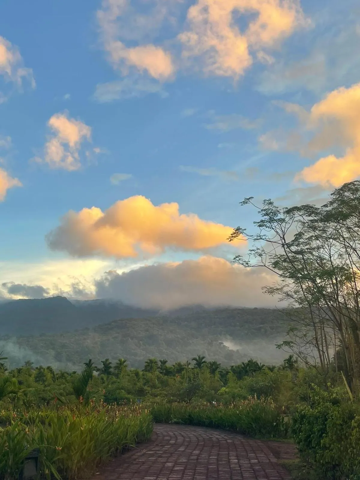 Natural landscape in The Postcard Hideaway, Netravali Wildlife Sanctuary, Goa