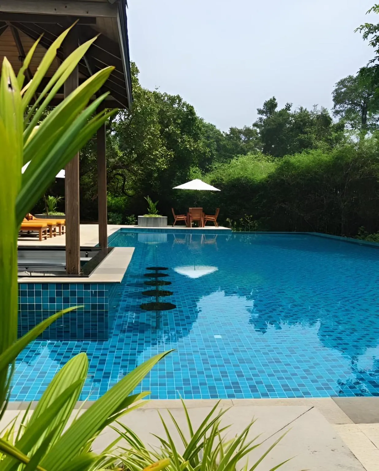 Swimming pool in The Postcard Hideaway, Netravali Wildlife Sanctuary, Goa