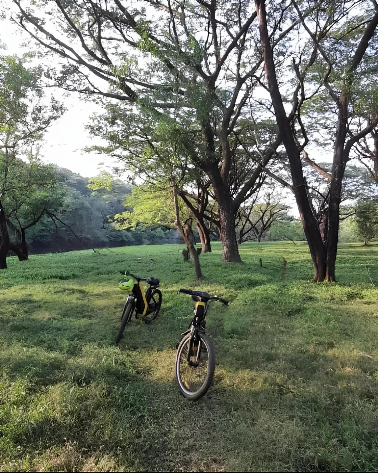 Cycling in The Postcard Hideaway, Netravali Wildlife Sanctuary, Goa