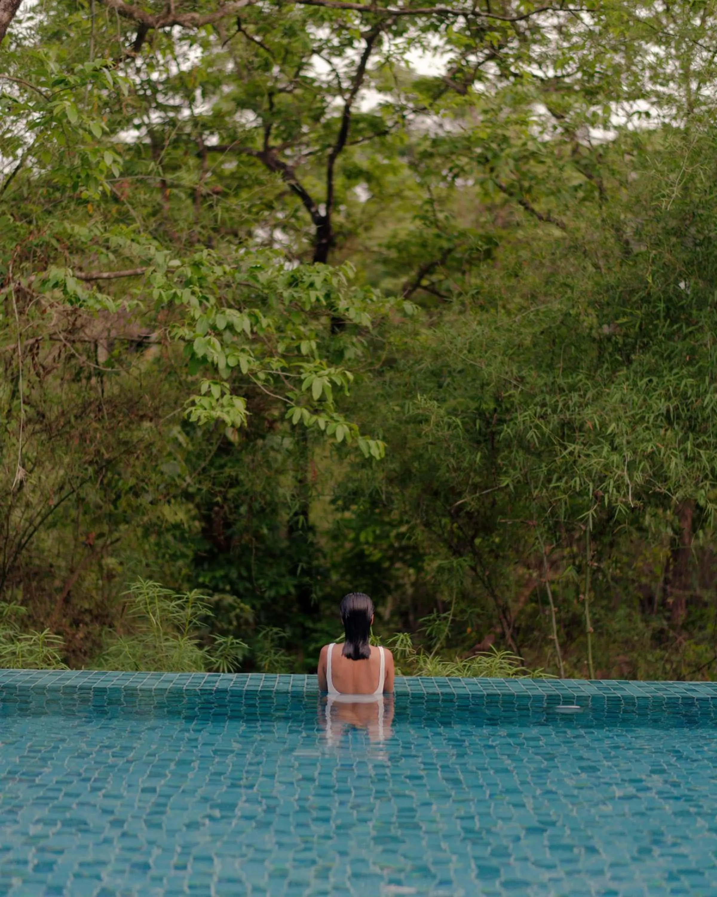 Natural landscape in The Postcard Hideaway, Netravali Wildlife Sanctuary, Goa