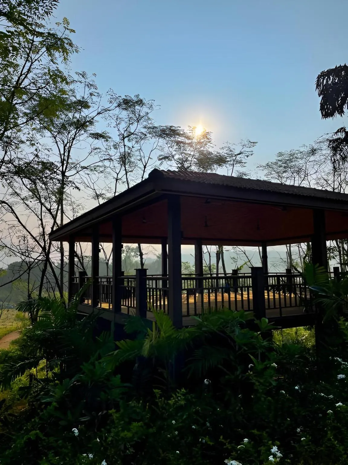 Natural landscape in The Postcard Hideaway, Netravali Wildlife Sanctuary, Goa