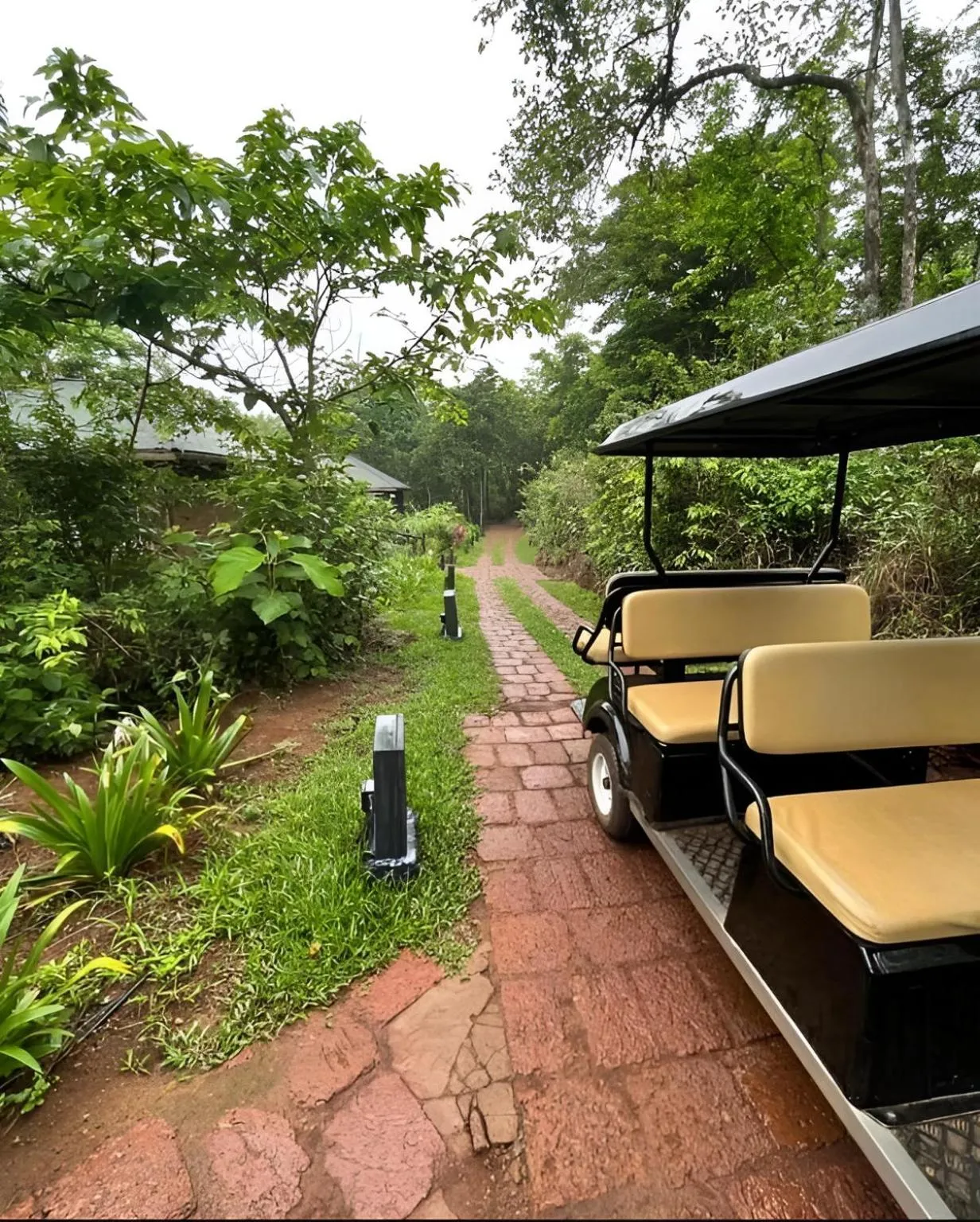 Natural landscape in The Postcard Hideaway, Netravali Wildlife Sanctuary, Goa