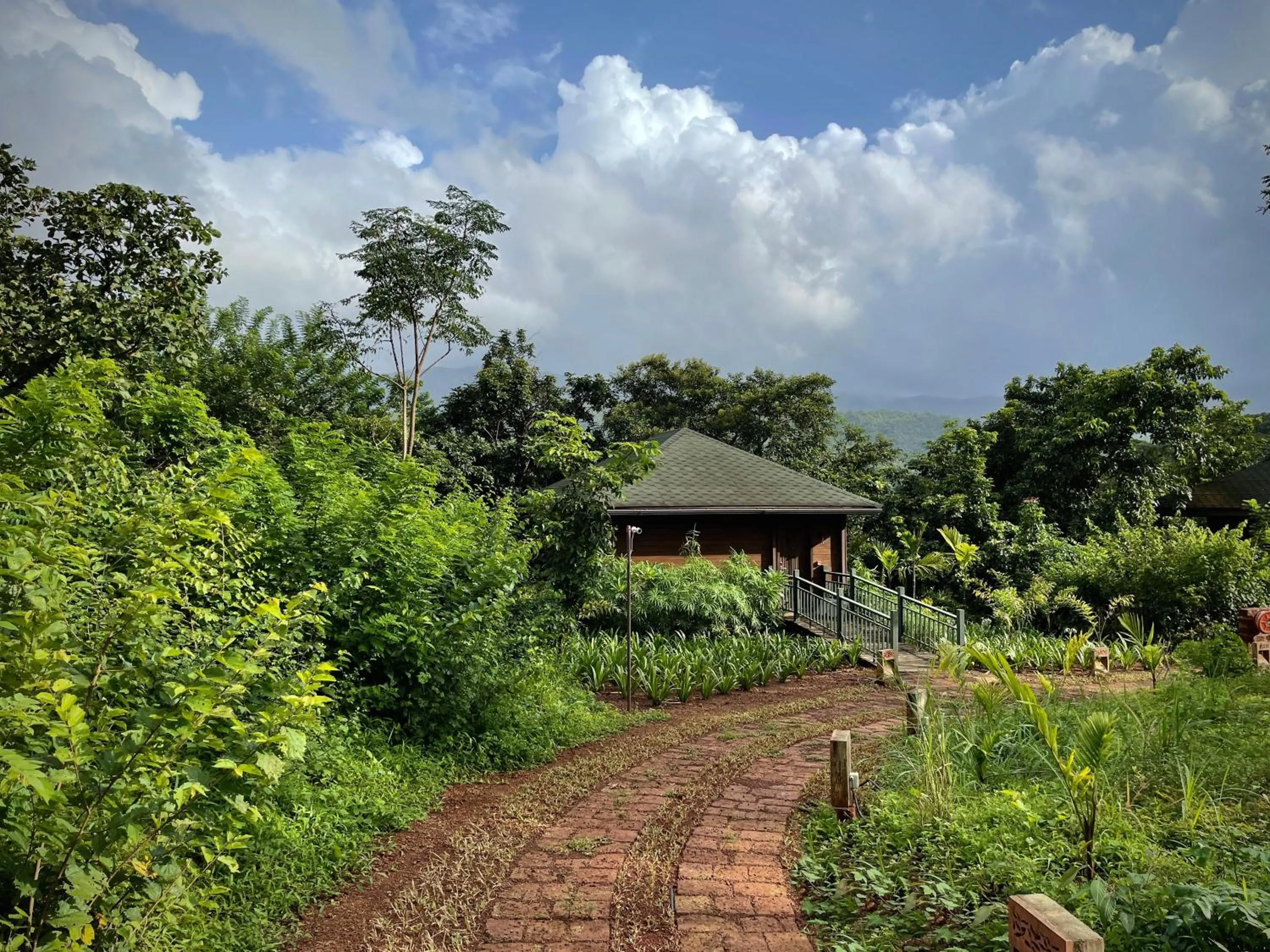 Natural landscape in The Postcard Hideaway, Netravali Wildlife Sanctuary, Goa