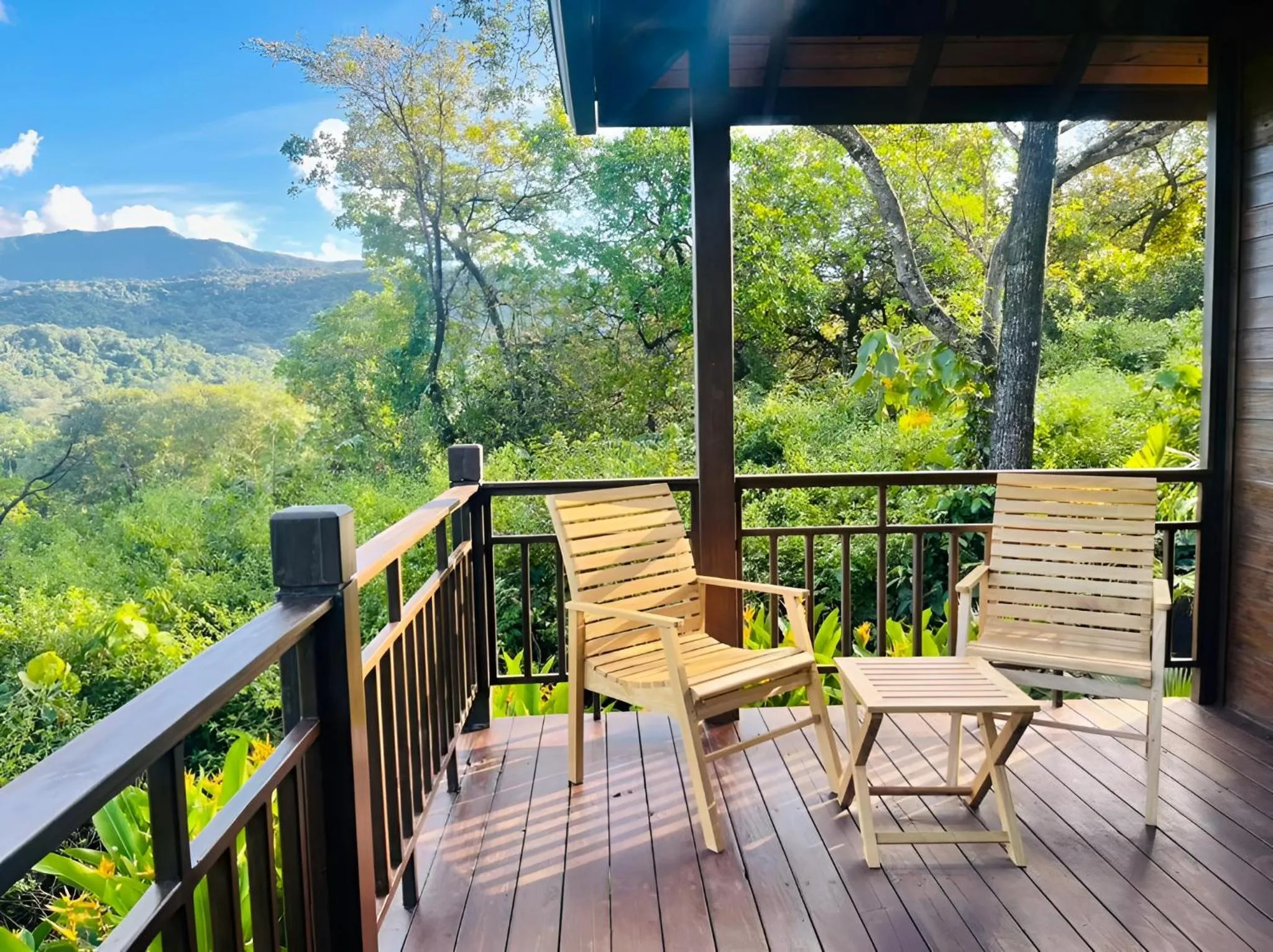 Natural landscape in The Postcard Hideaway, Netravali Wildlife Sanctuary, Goa