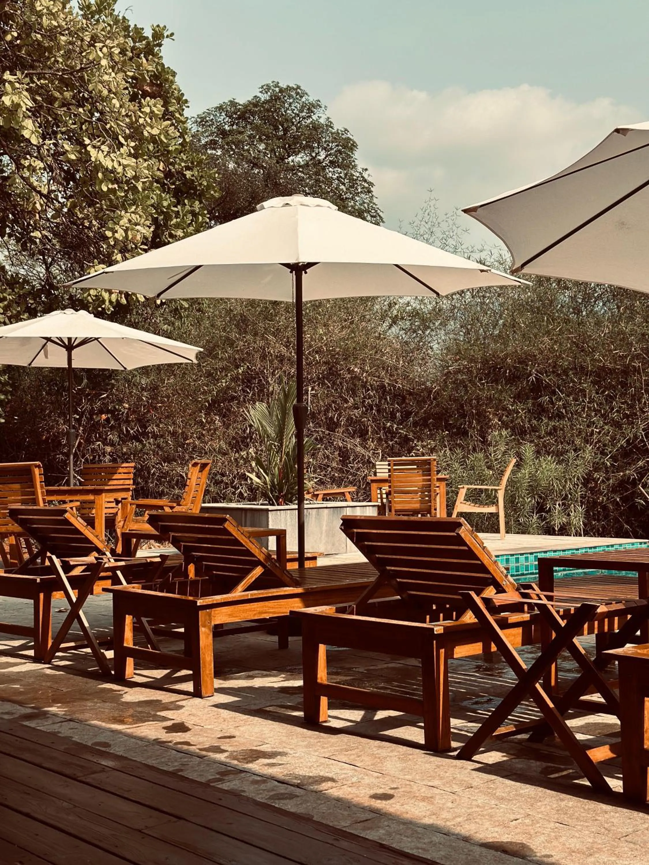 Swimming pool in The Postcard Hideaway, Netravali Wildlife Sanctuary, Goa
