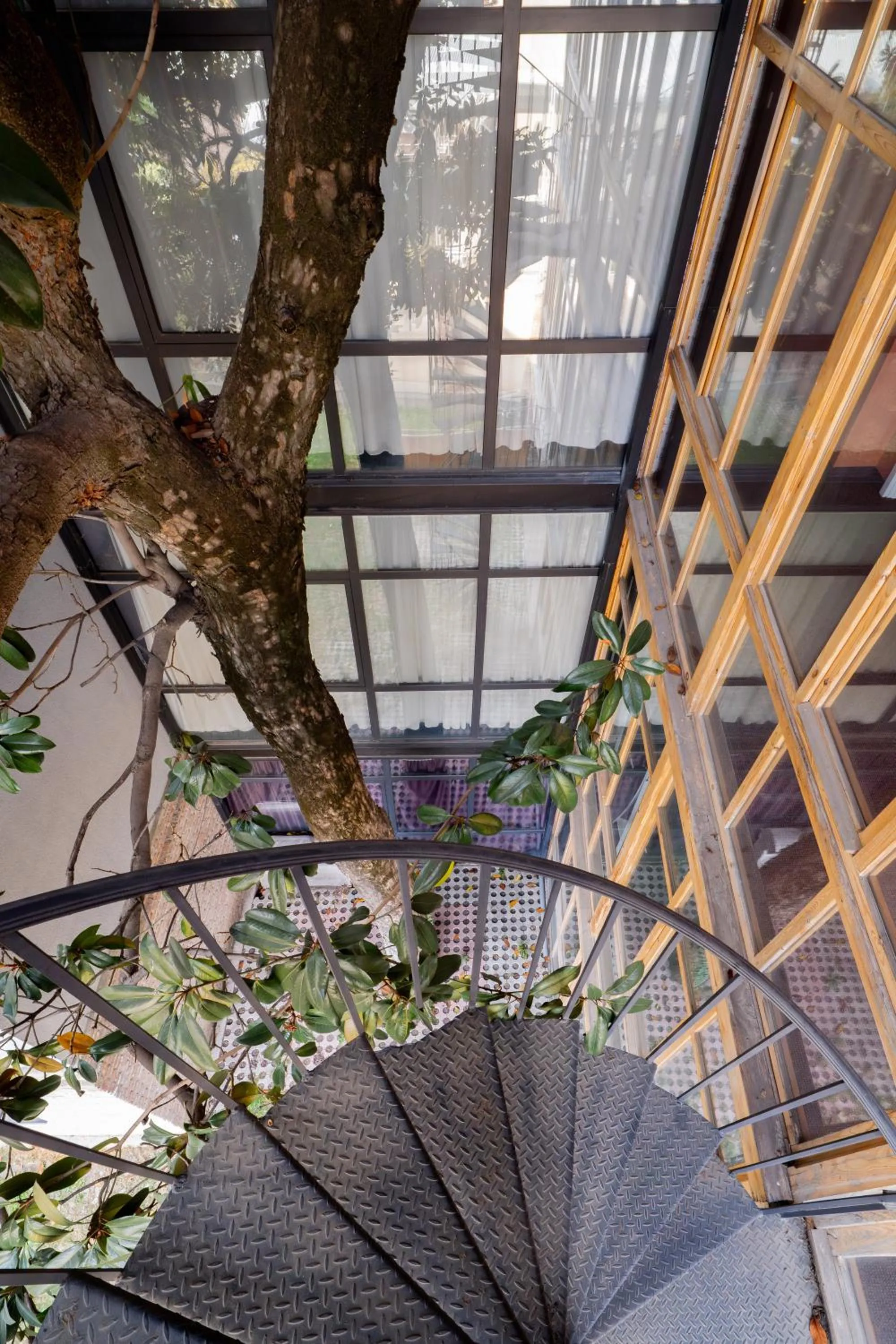 Decorative detail in Magnolia