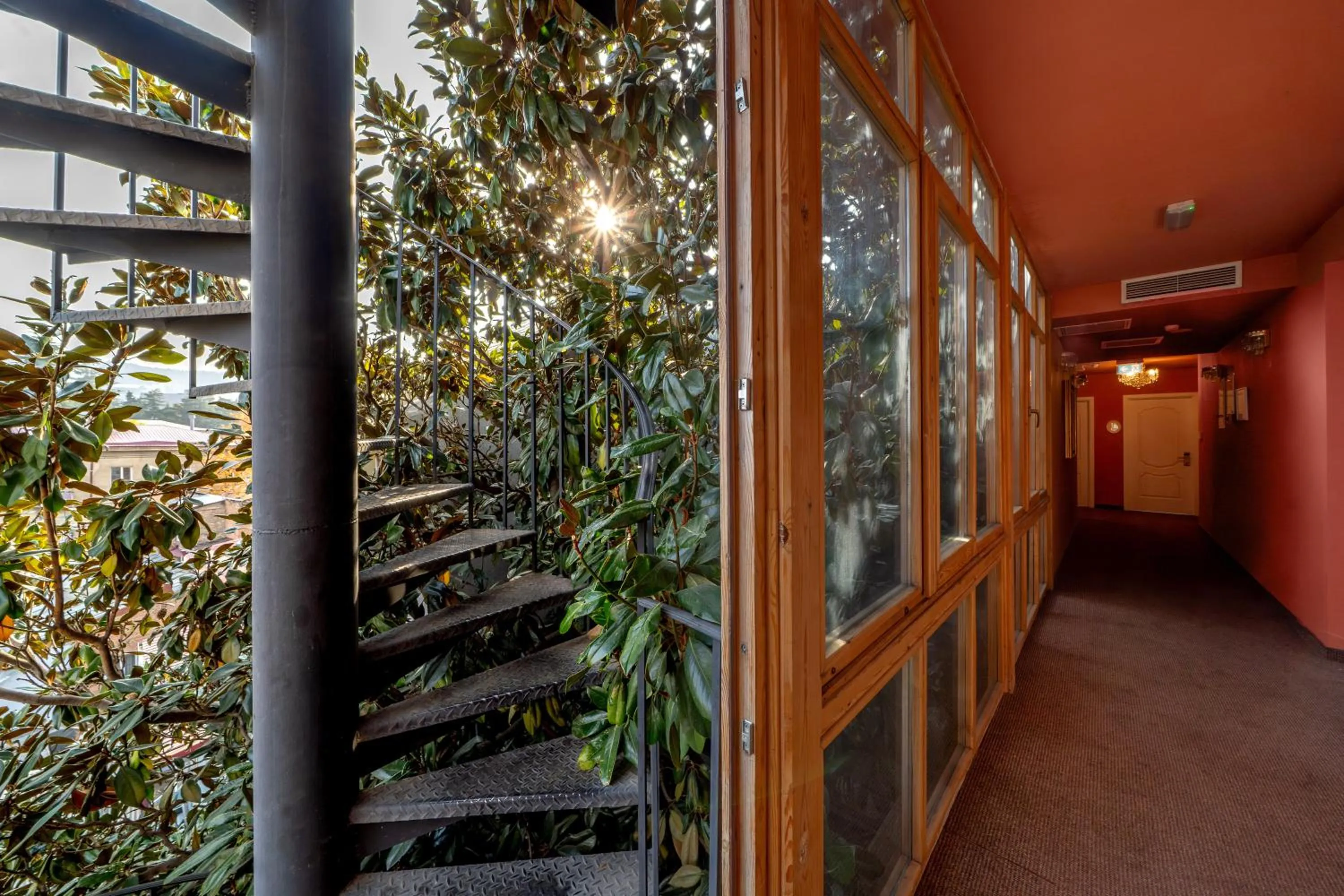 Garden view in Magnolia