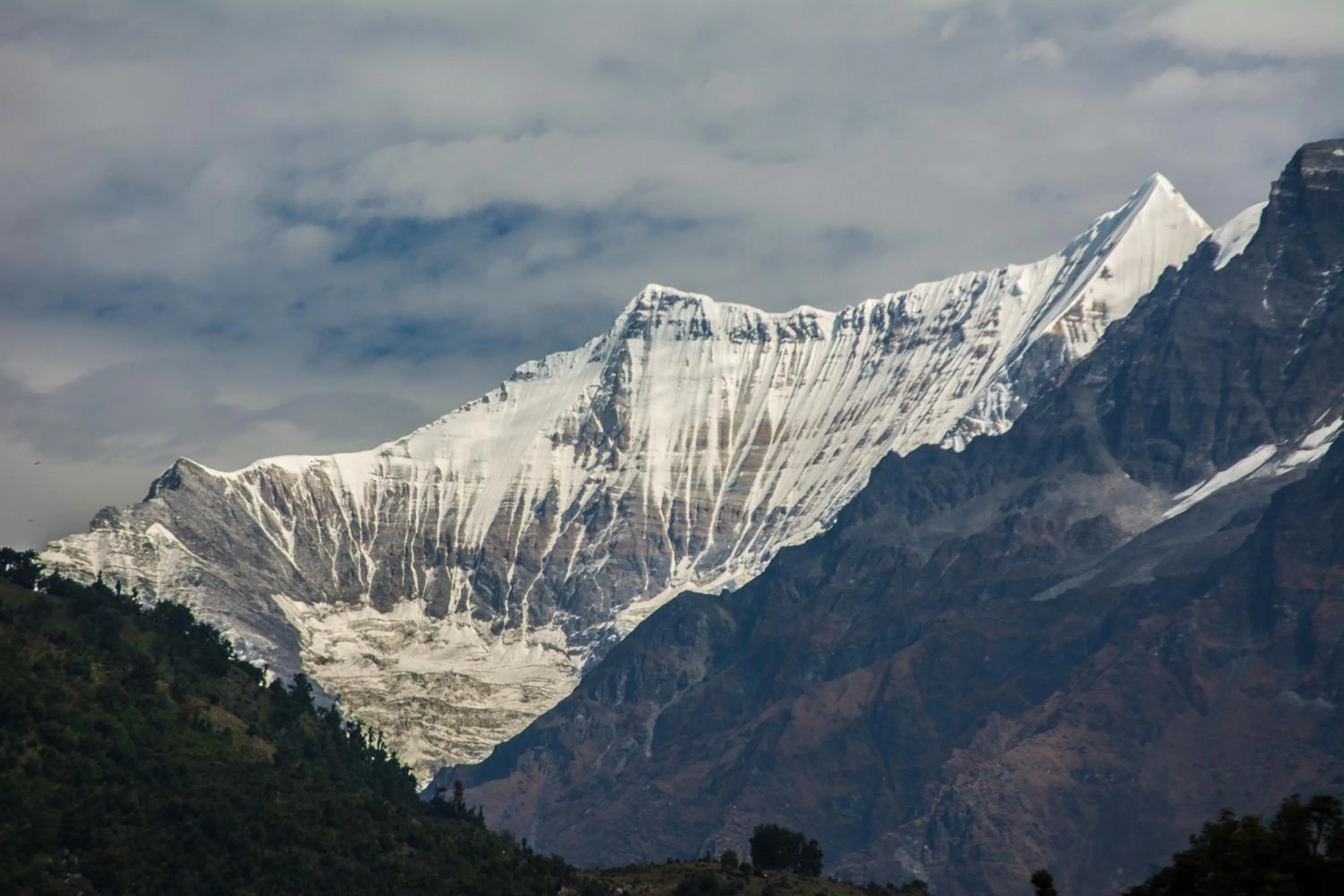Natural landscape in Captains Paradise Luxury Resort at Mukteshwar Hill Station