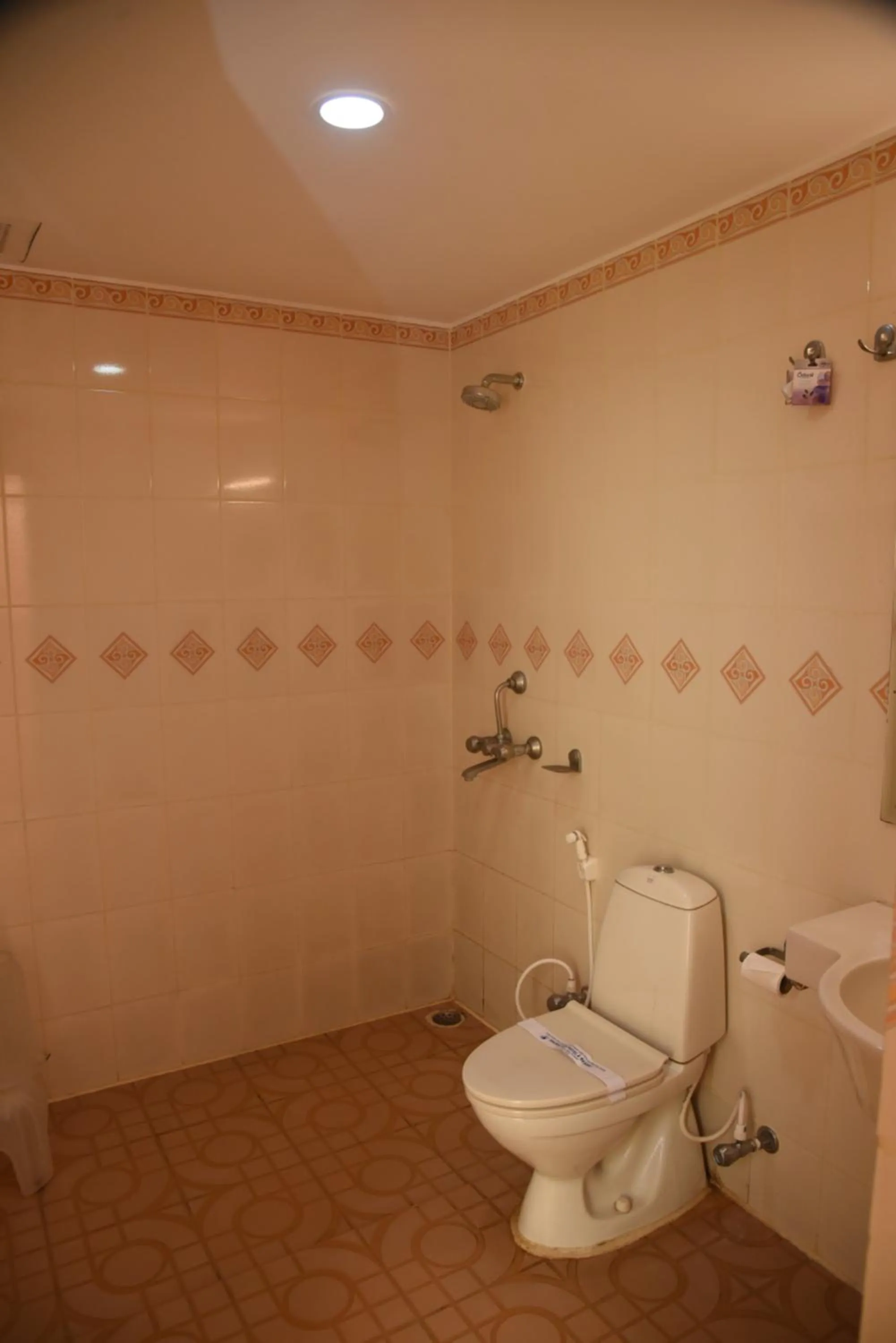 Shower in GOLDEN PARK HOTEL & RESORT