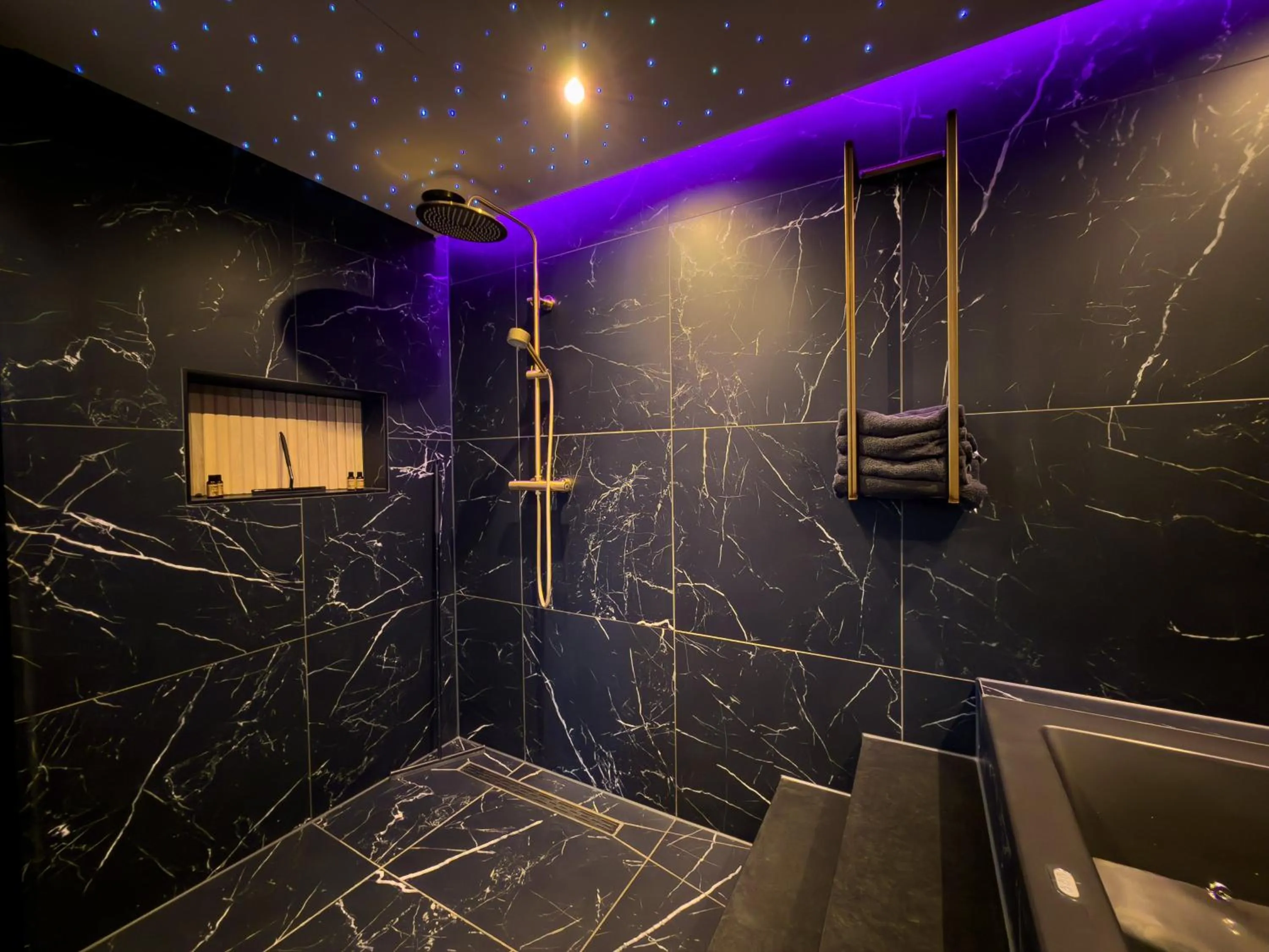 Shower in Royal Suite