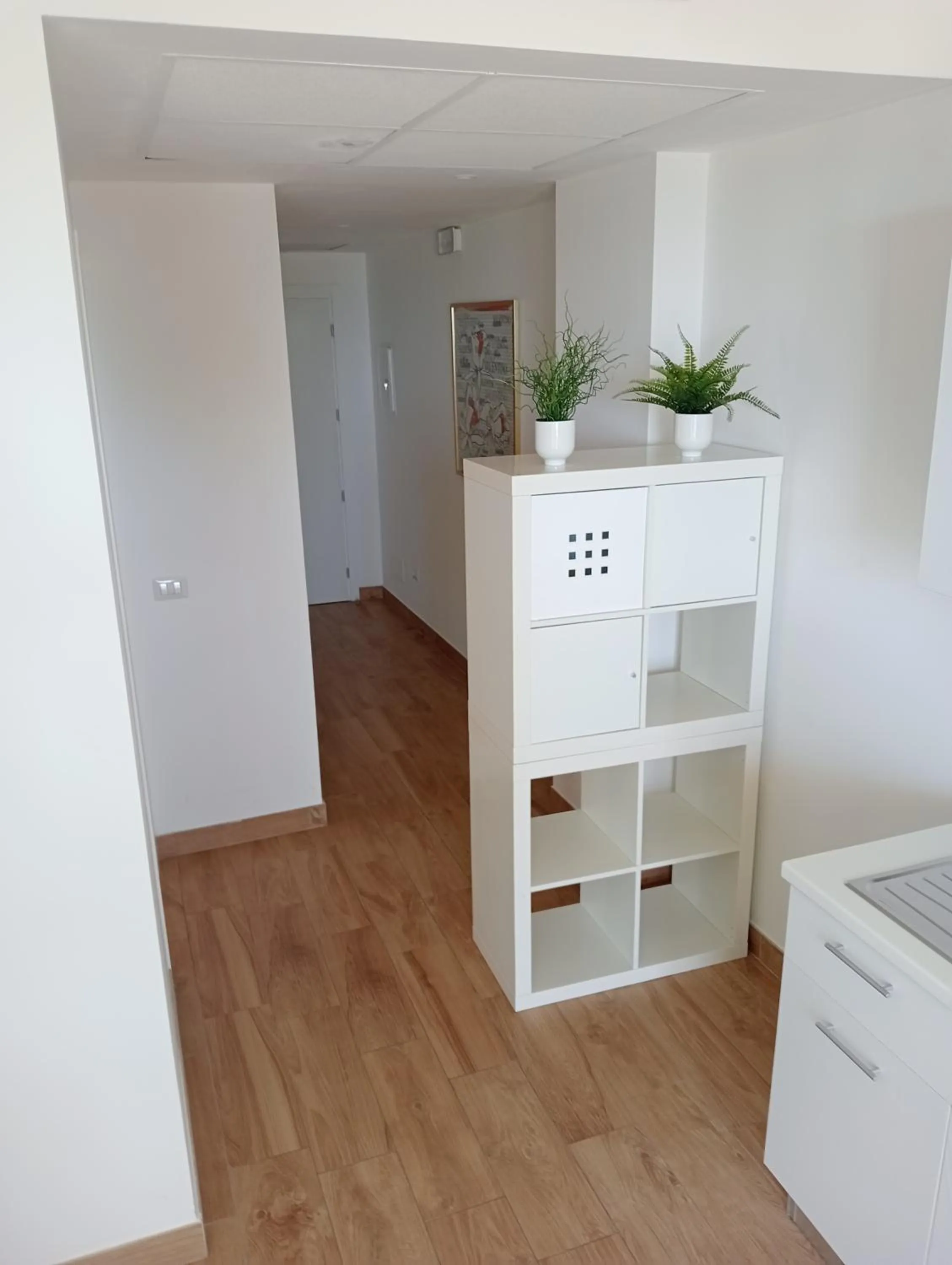 Kitchen or kitchenette in Hotel Flora