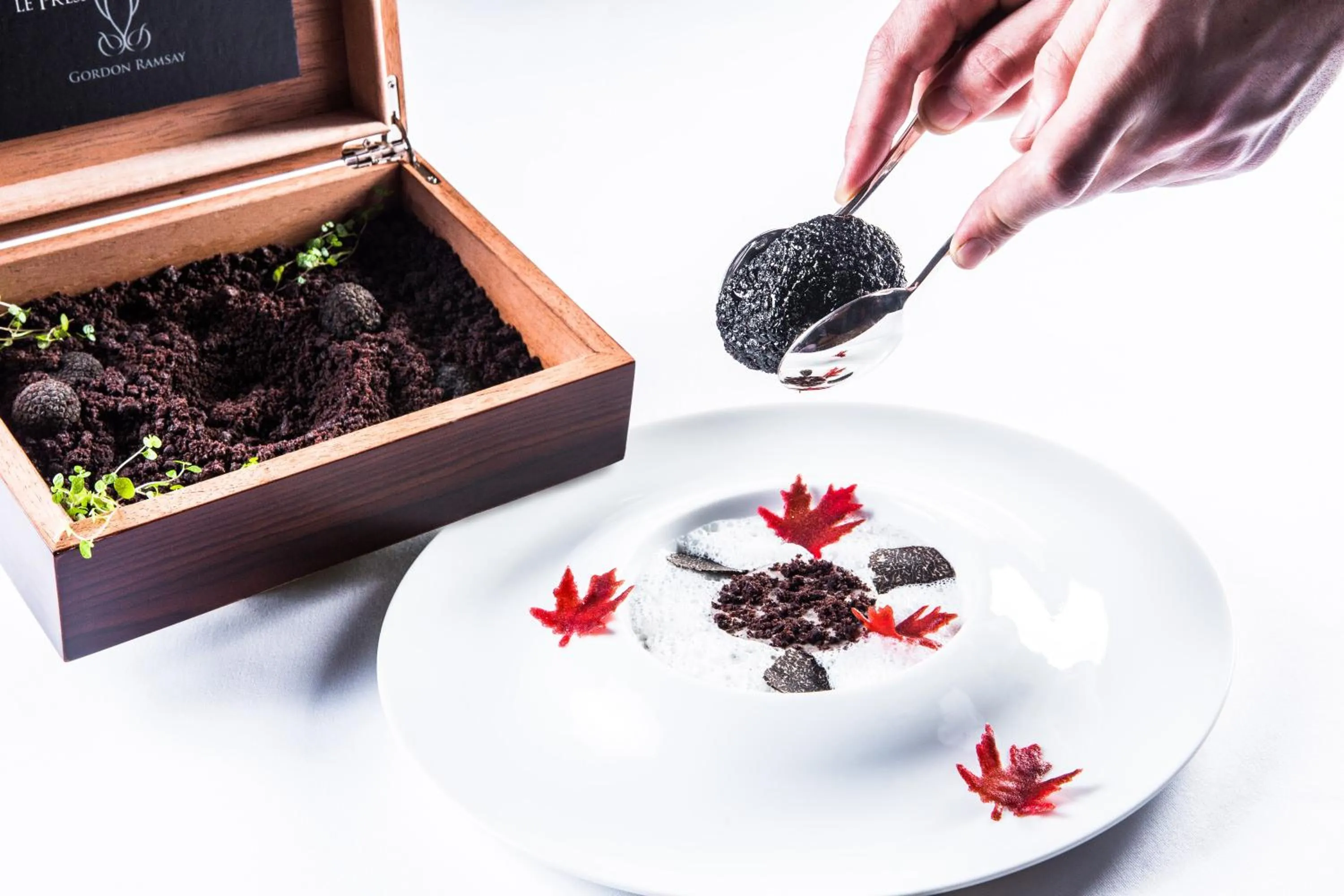 Restaurant/places to eat in InterContinental Bordeaux Le Grand Hotel by IHG