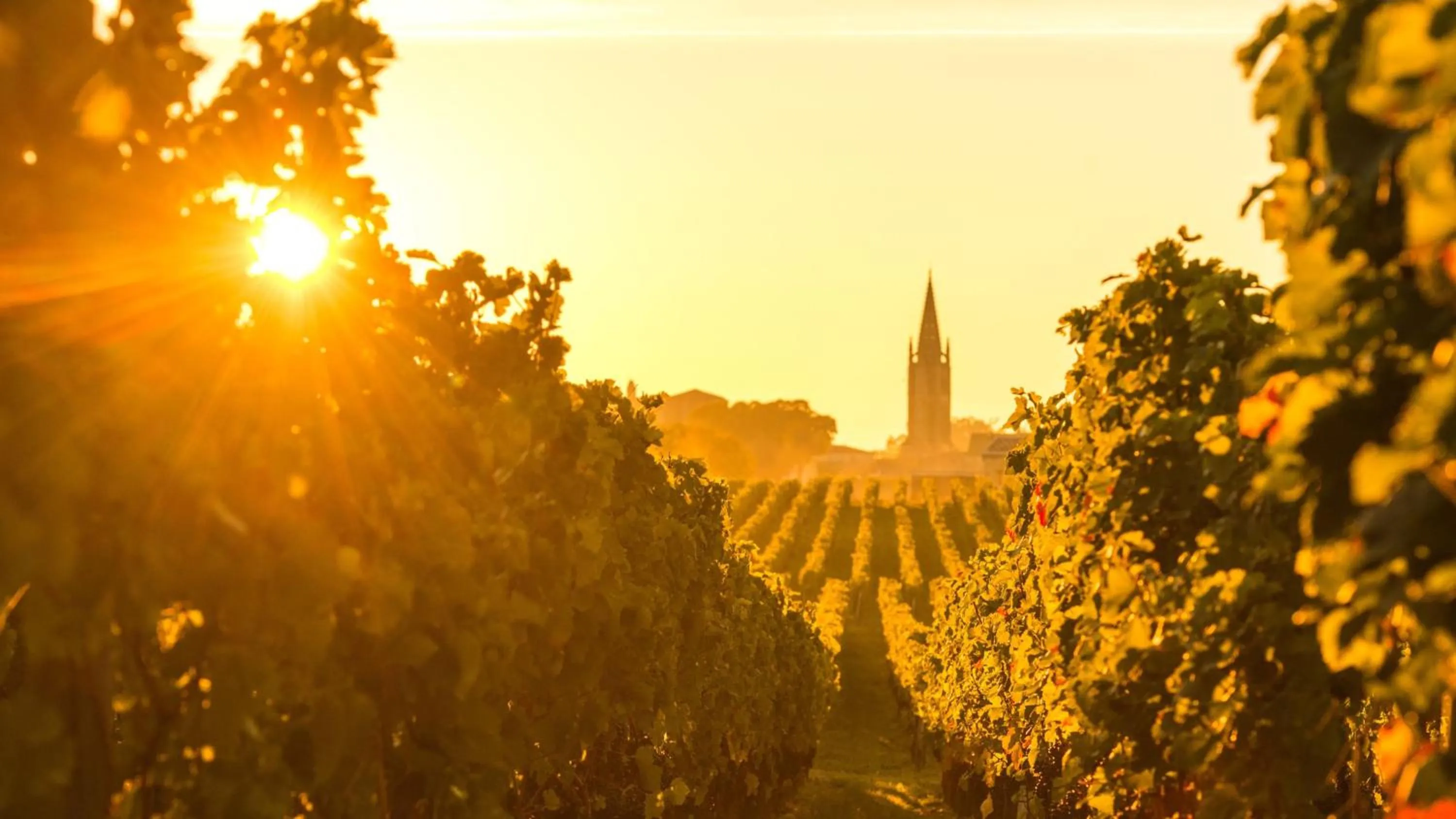 Nearby landmark in InterContinental Bordeaux Le Grand Hotel by IHG