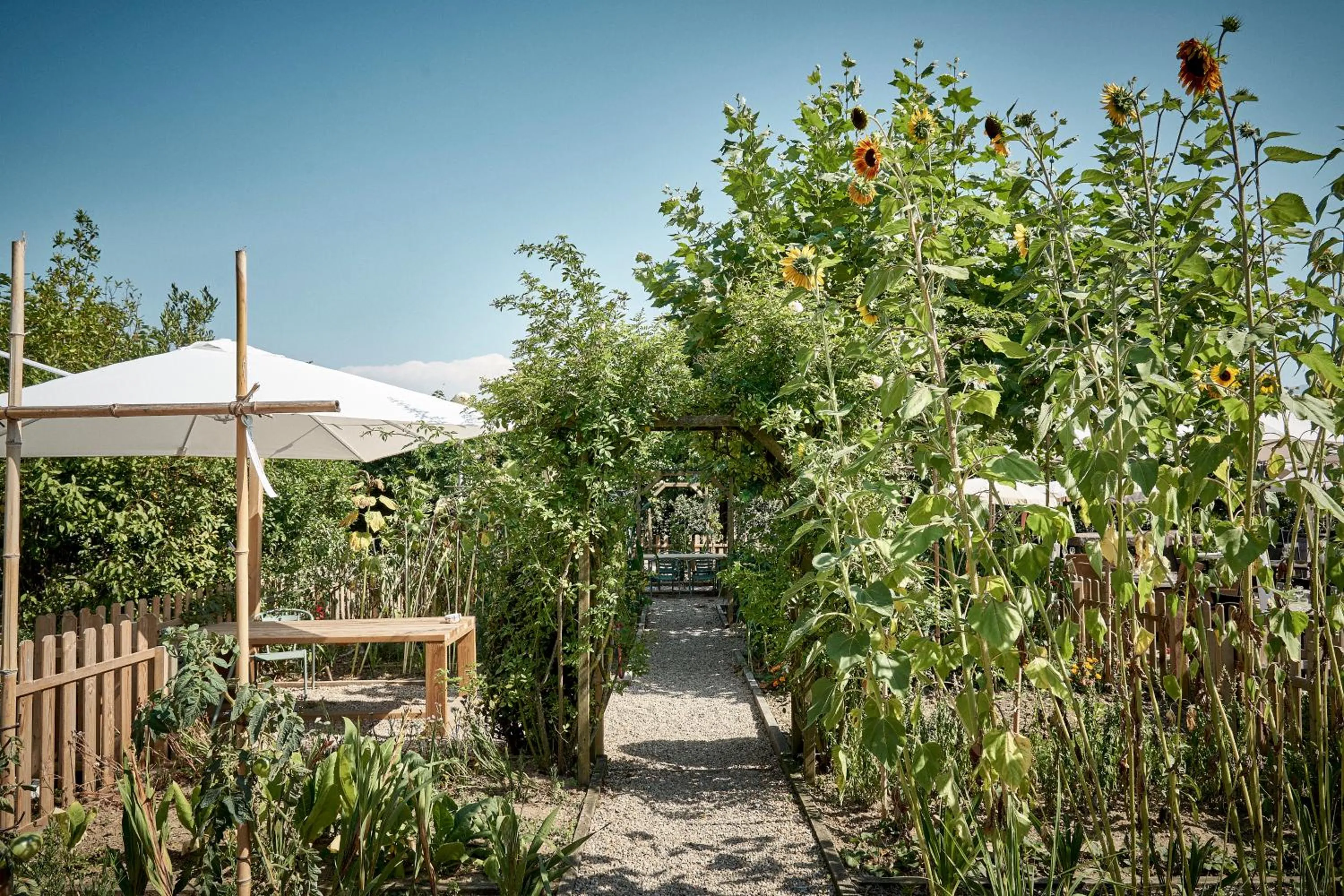 Garden in Hotel Donibane Saint-Jean-de-Luz